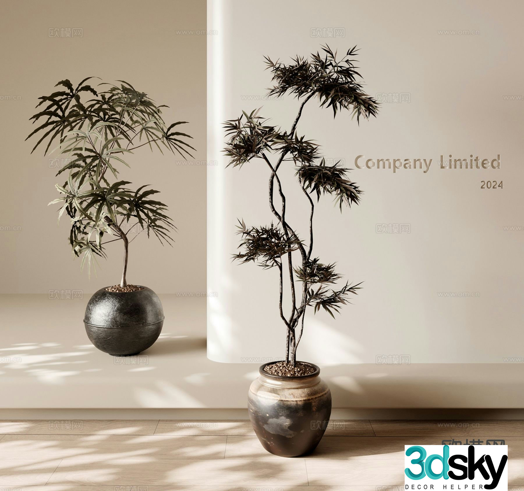 Middle-aged green plant potted bonsai 3d model