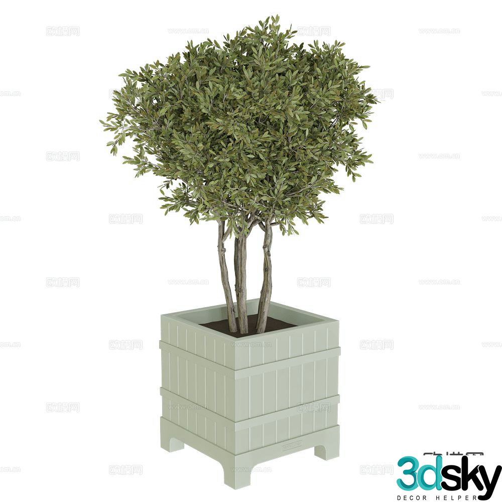Serralunga potted bonsai 3d model