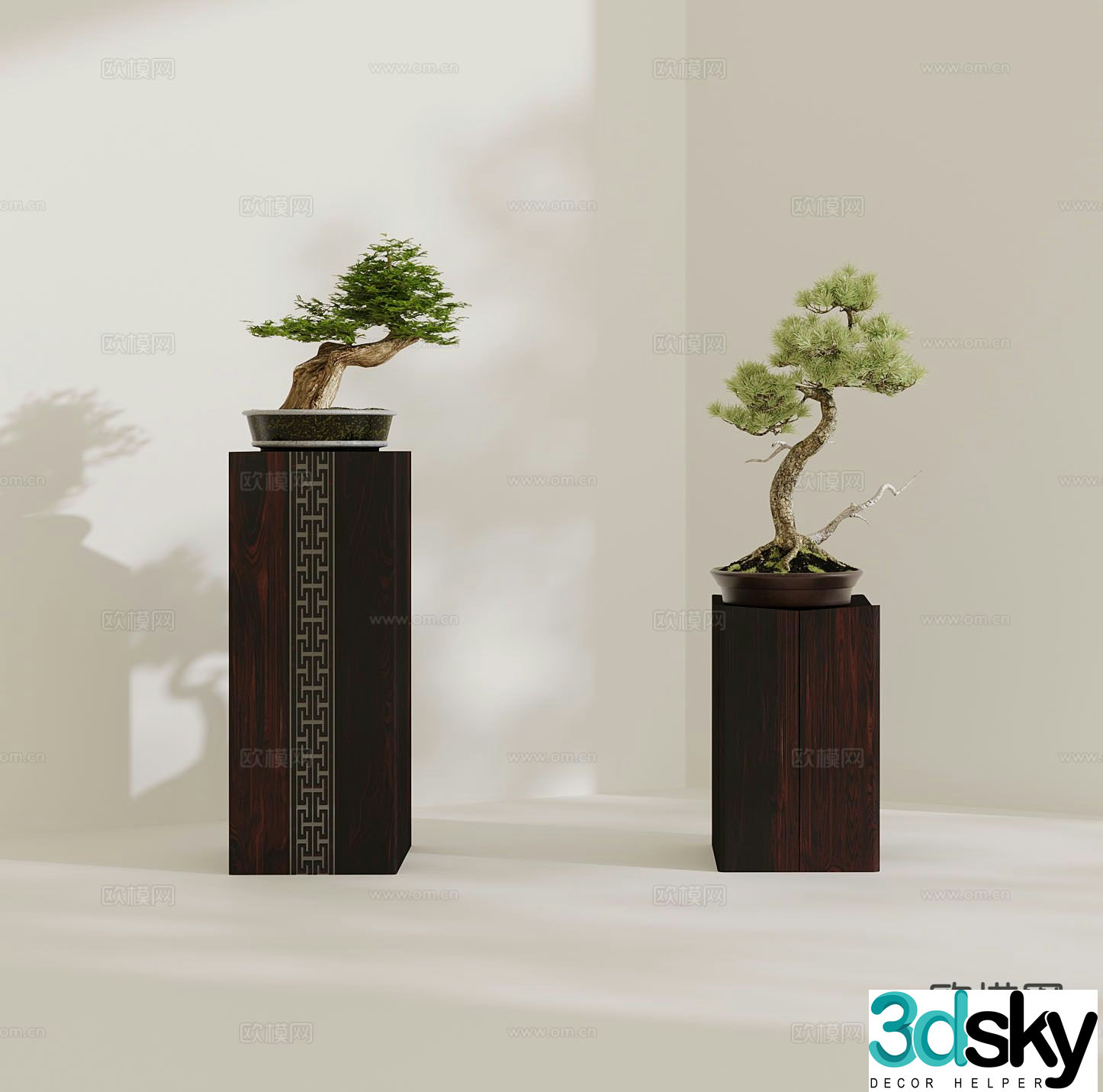 New Chinese potted plants bonsai pine and cypress 3D model