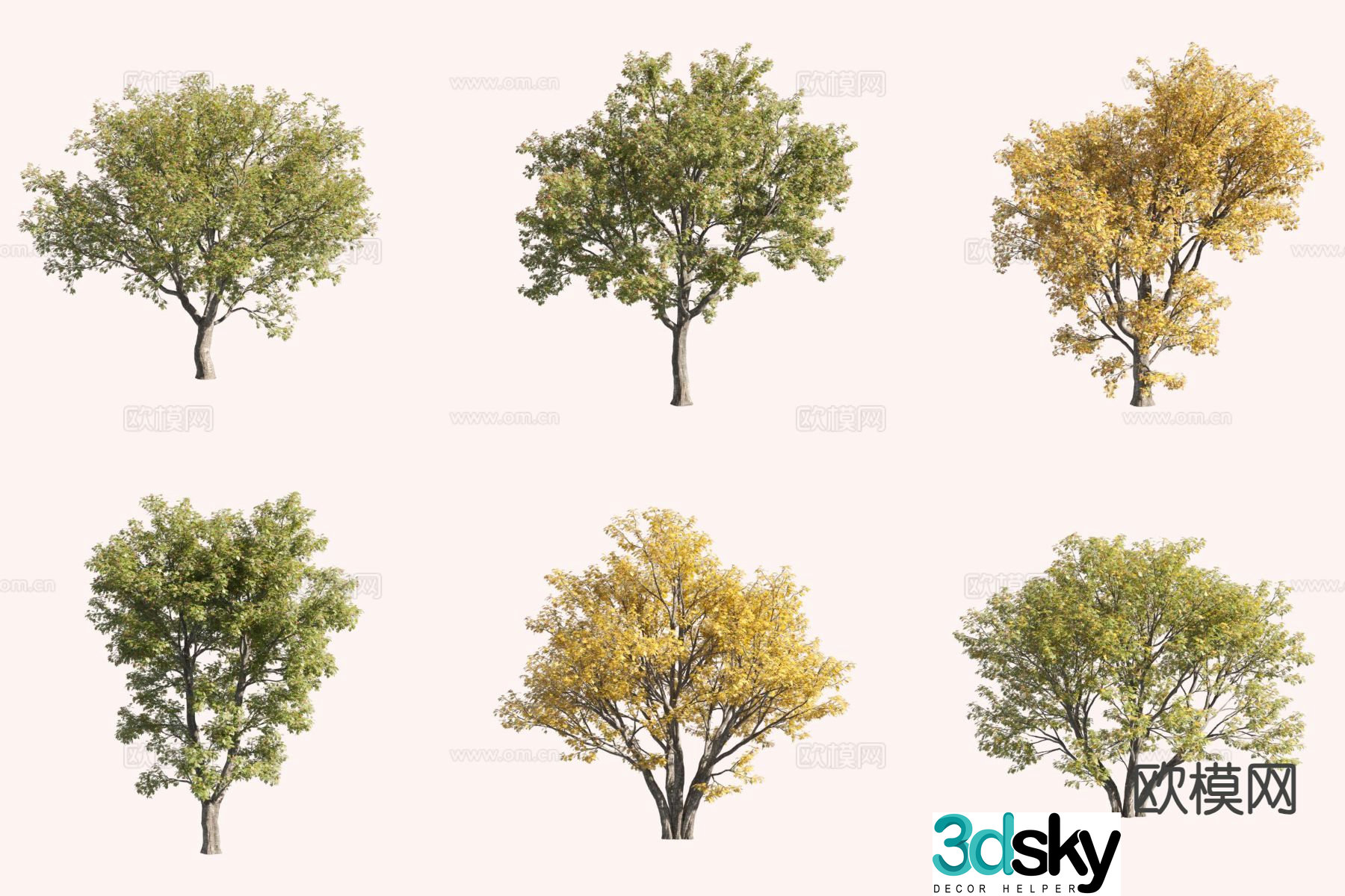 Nordic Rowan European Rowan Landscape Tree 3D Model