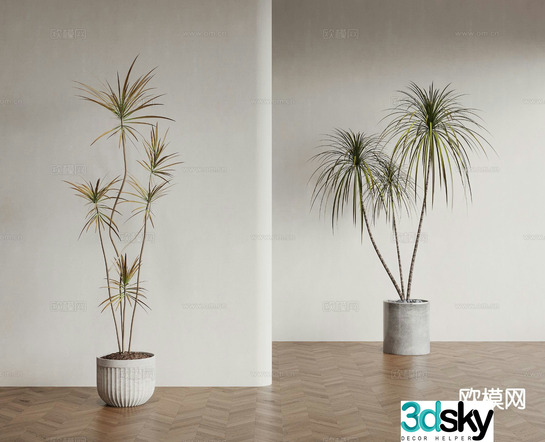 Modern floor-standing potted plant bonsai 3d model