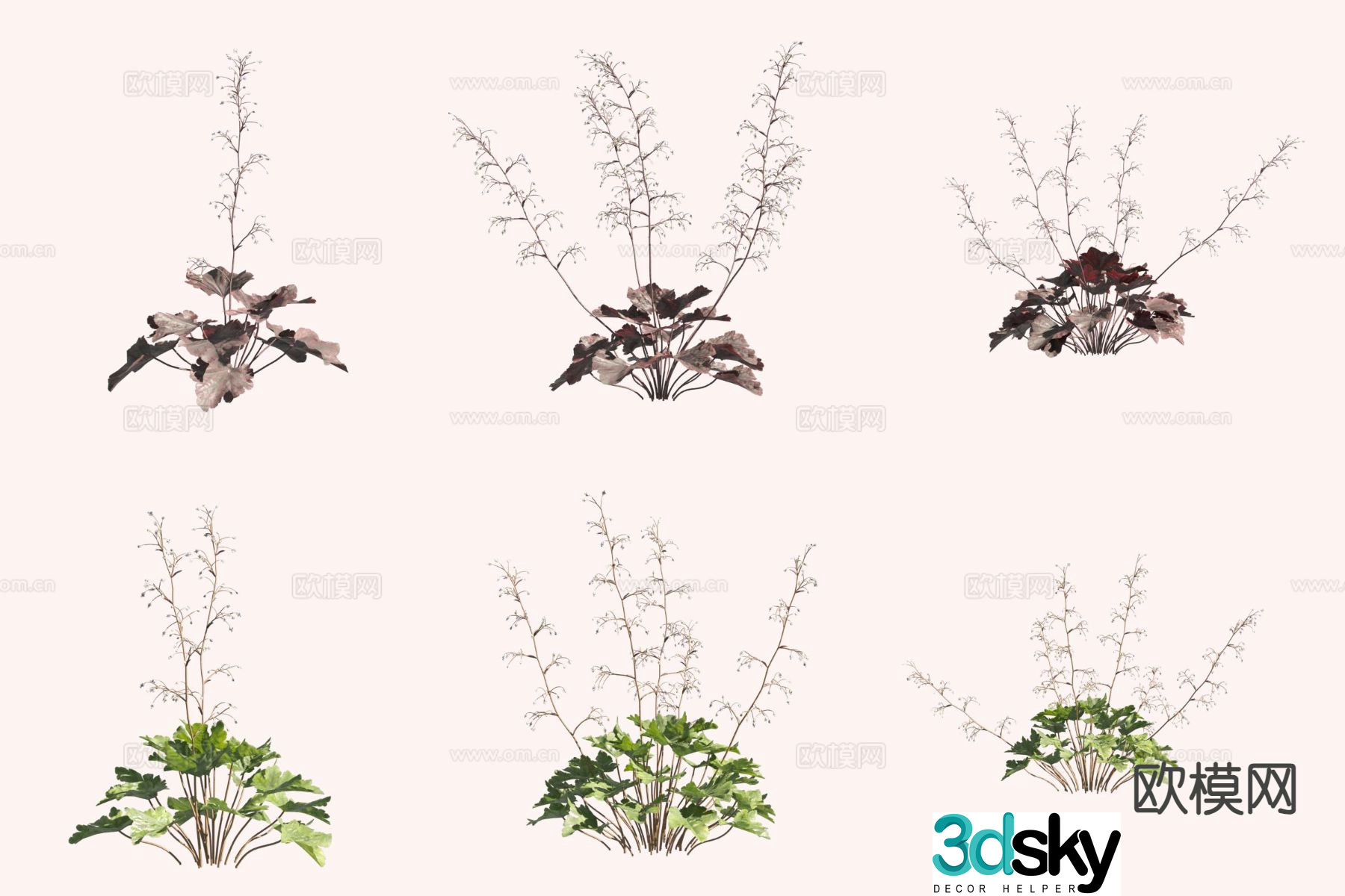 Kidney-shaped grass flower and grass 3D model