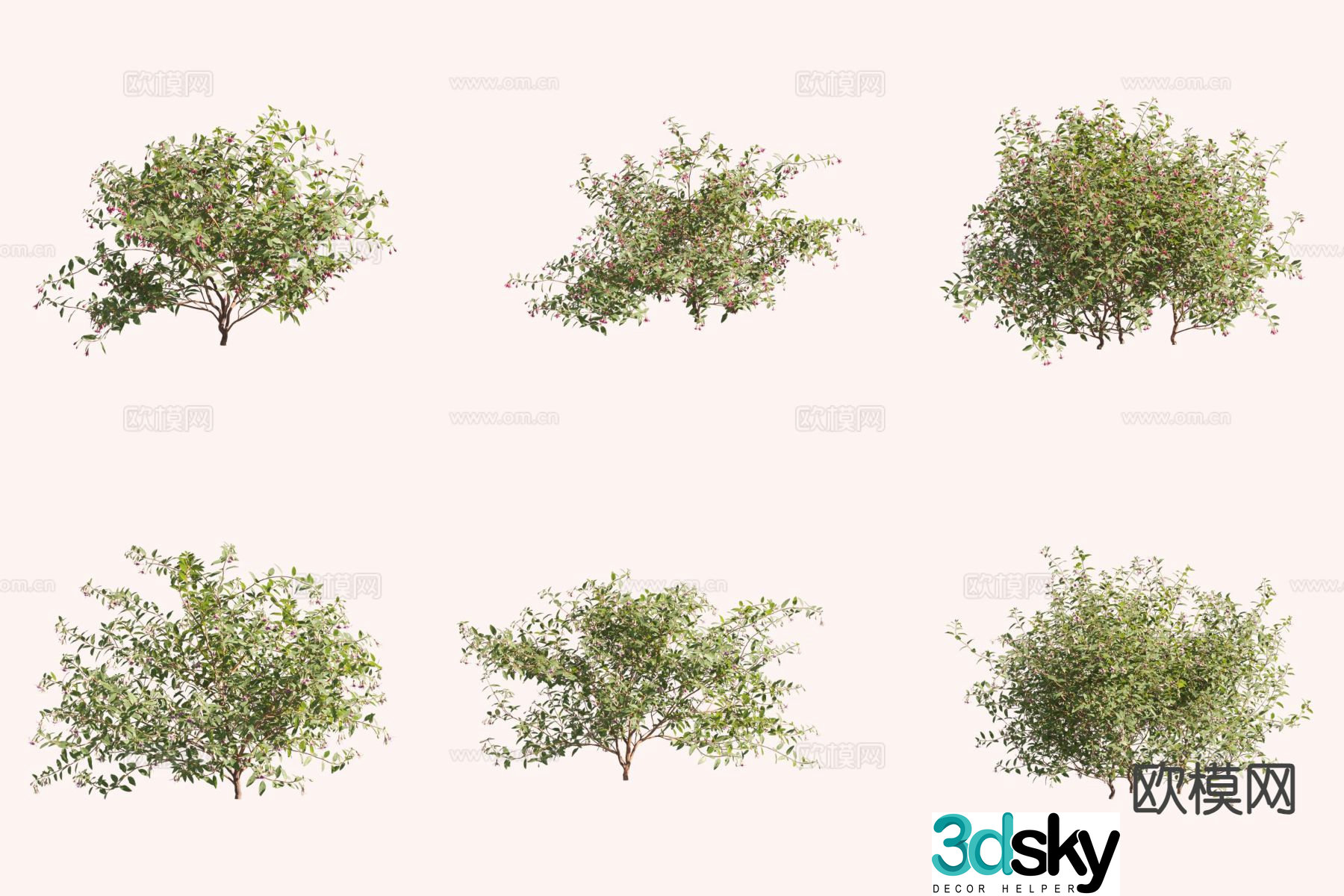 Short tube inverted fuchsia bush 3d model