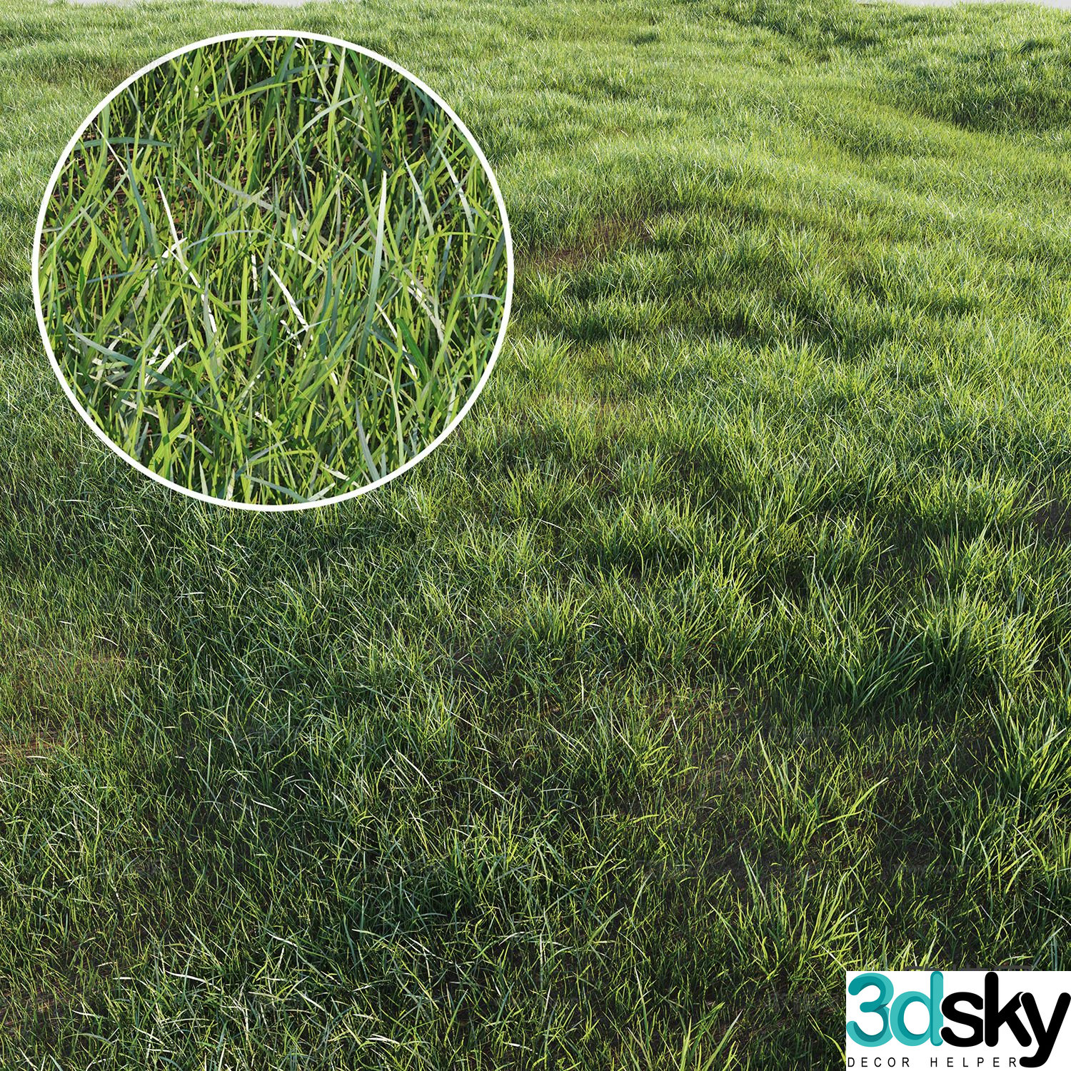 Green grass lawn 3d model
