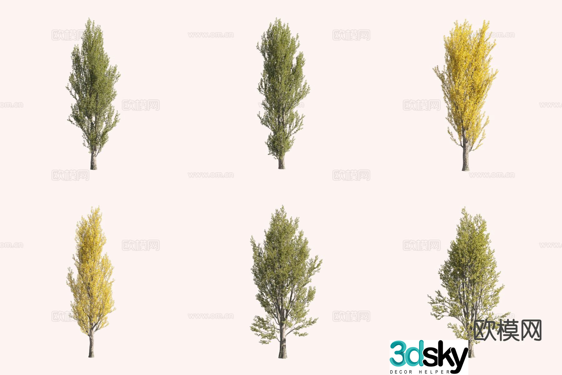 Black poplar tree landscape tree 3d model