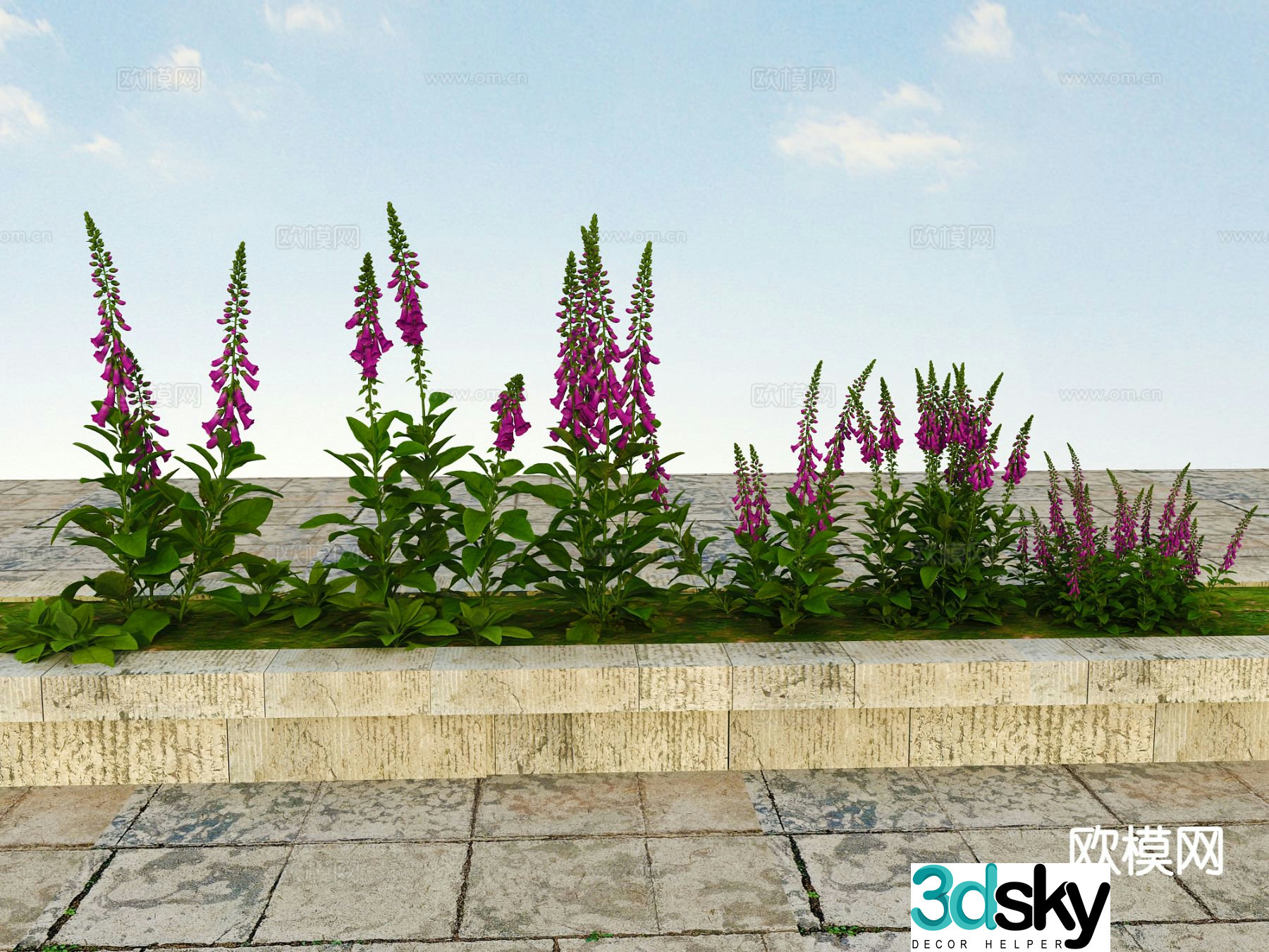 Flowers and plants shrubs viewing plants 3d model