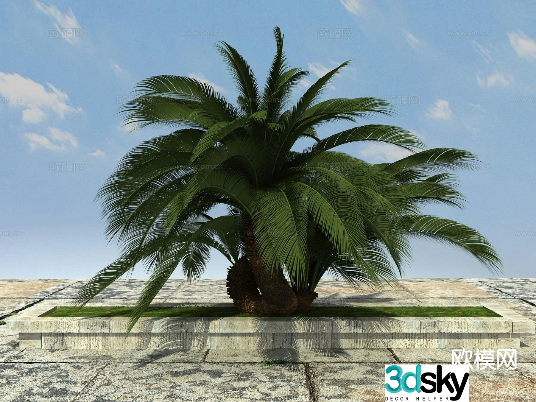Tropical plant big iron tree 3d model