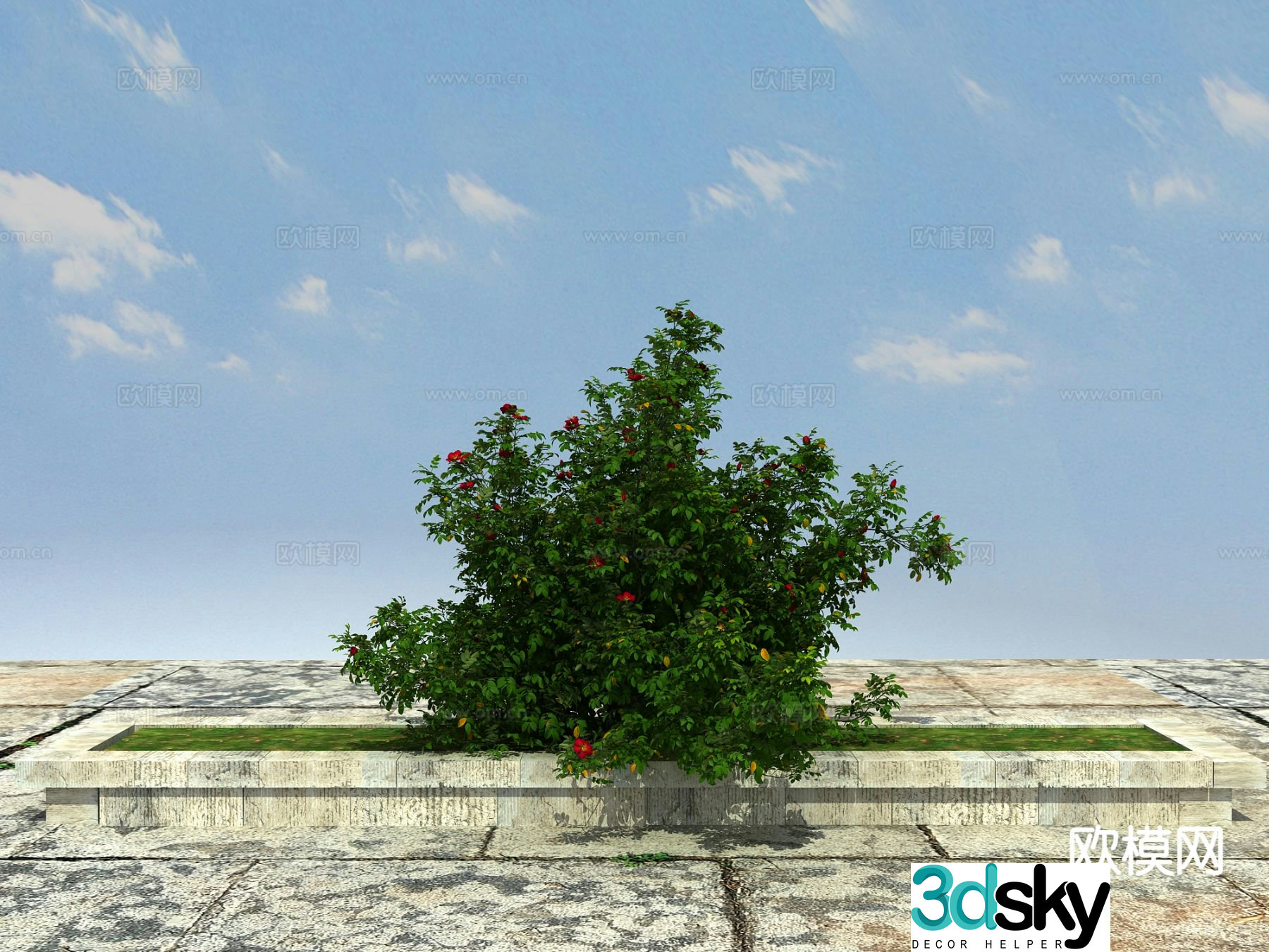 Flowering plant shrub 3d model