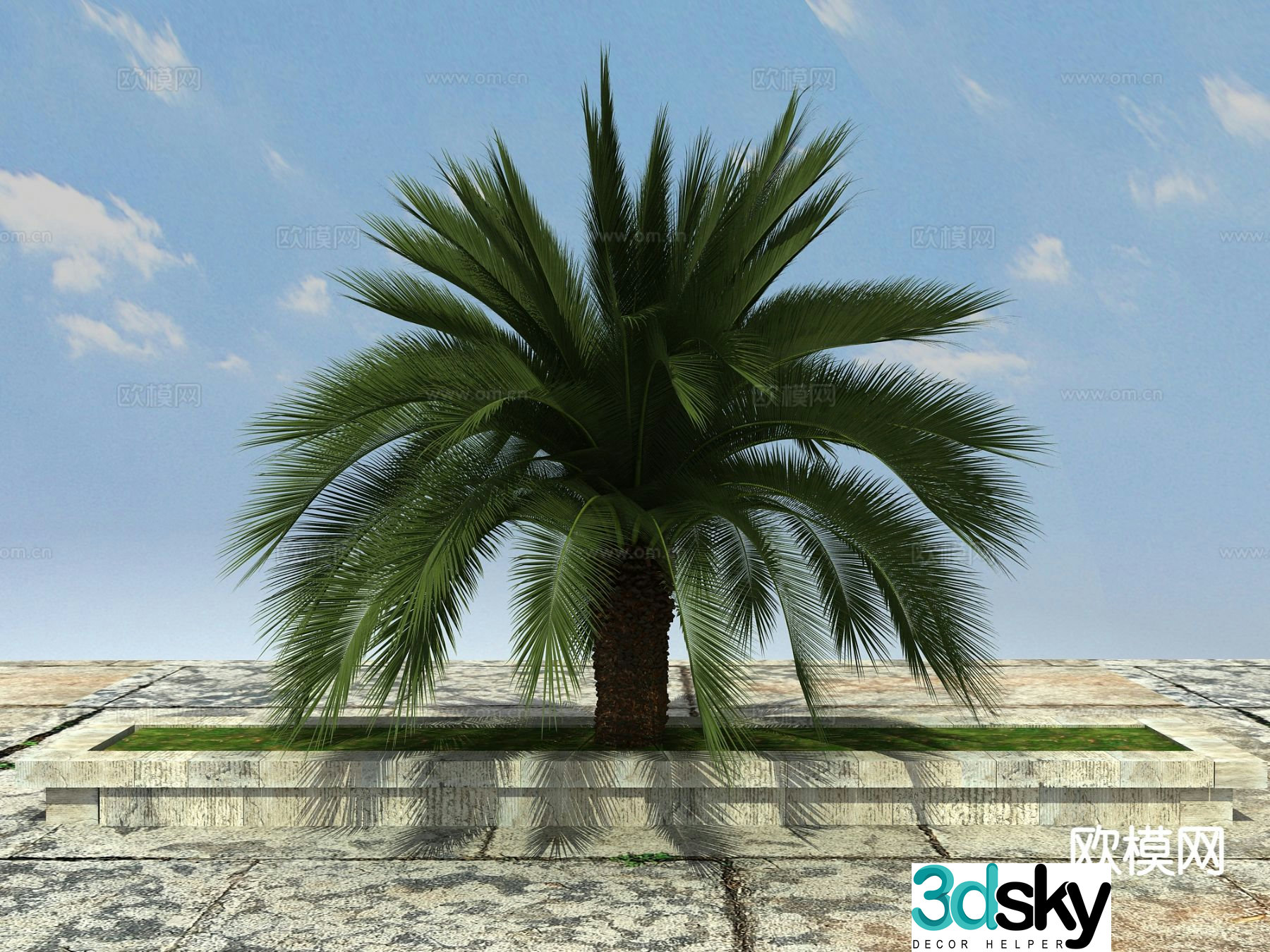 Tropical plant Big iron tree 3d model