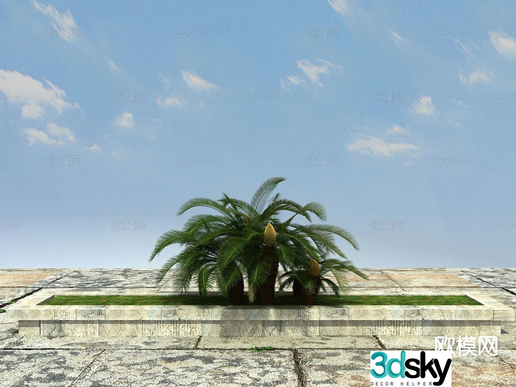Tropical plant Big iron tree 3d model