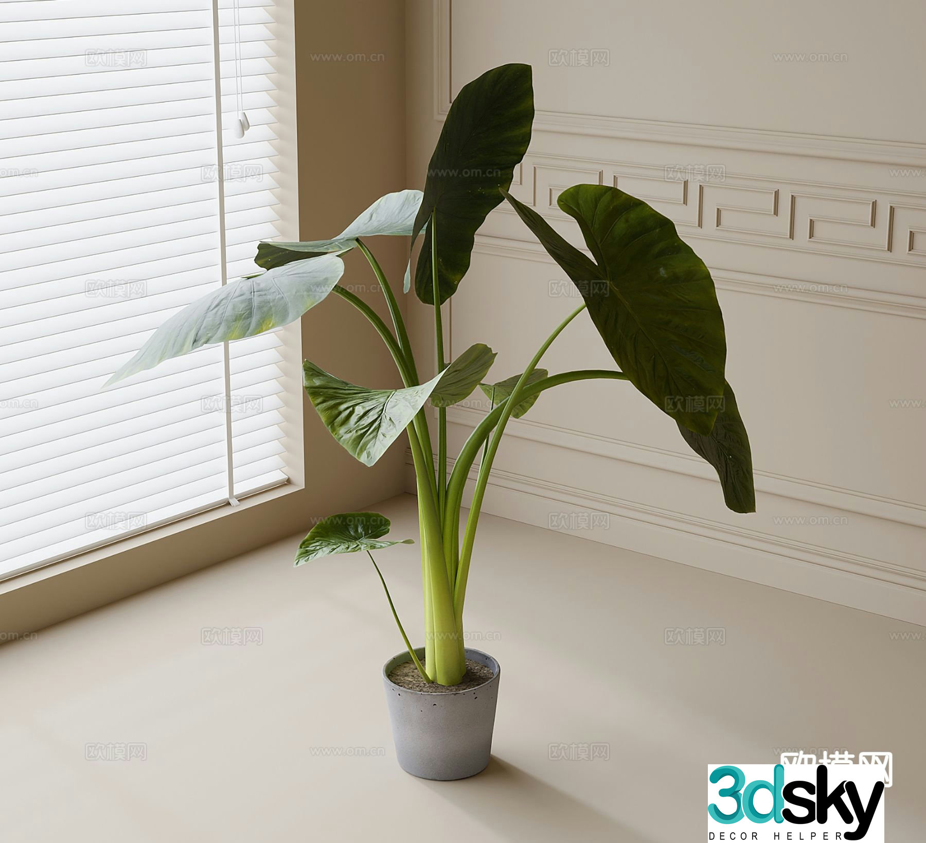 Modern potted plants bonsai green plants 3d model