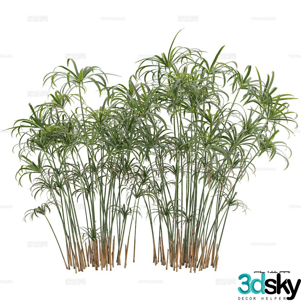 Bamboo Landscape Tree Rich Bamboo 3D Model