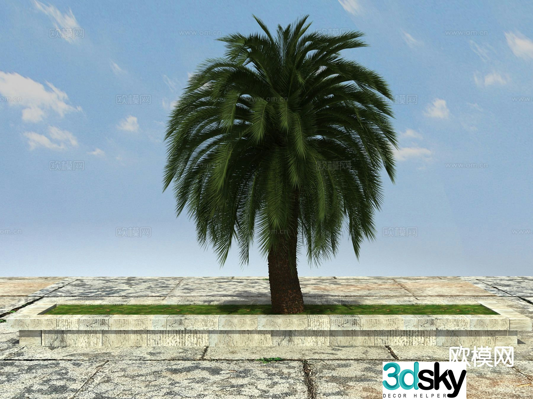 Tropical plant Big iron tree 3d model
