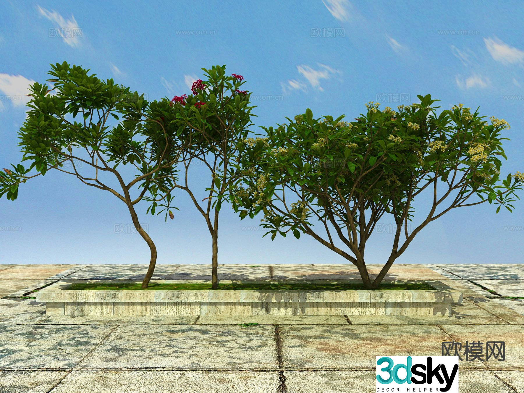 Landscape tree flowering plant 3d model