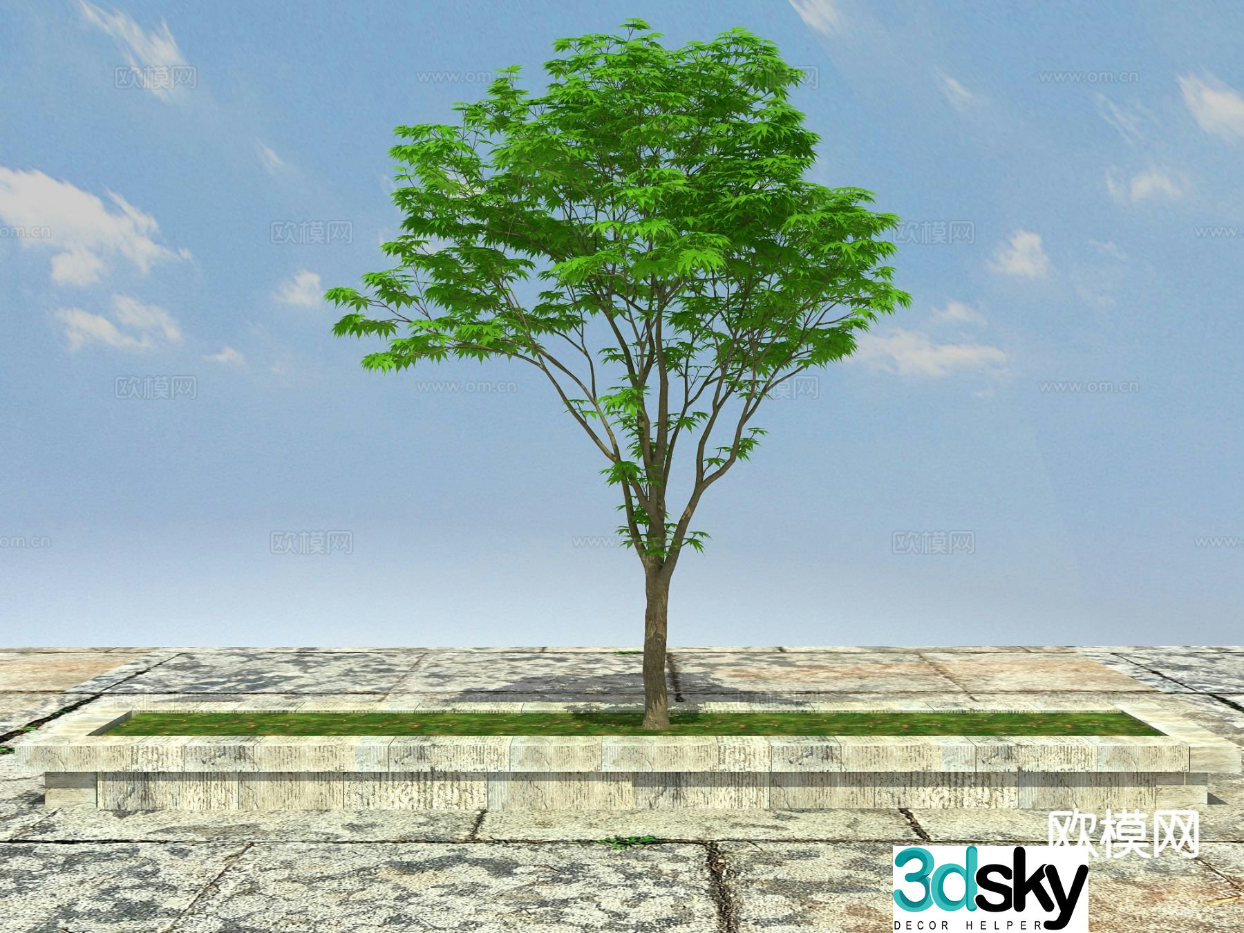 Ornamental tree tree pool big tree 3d model