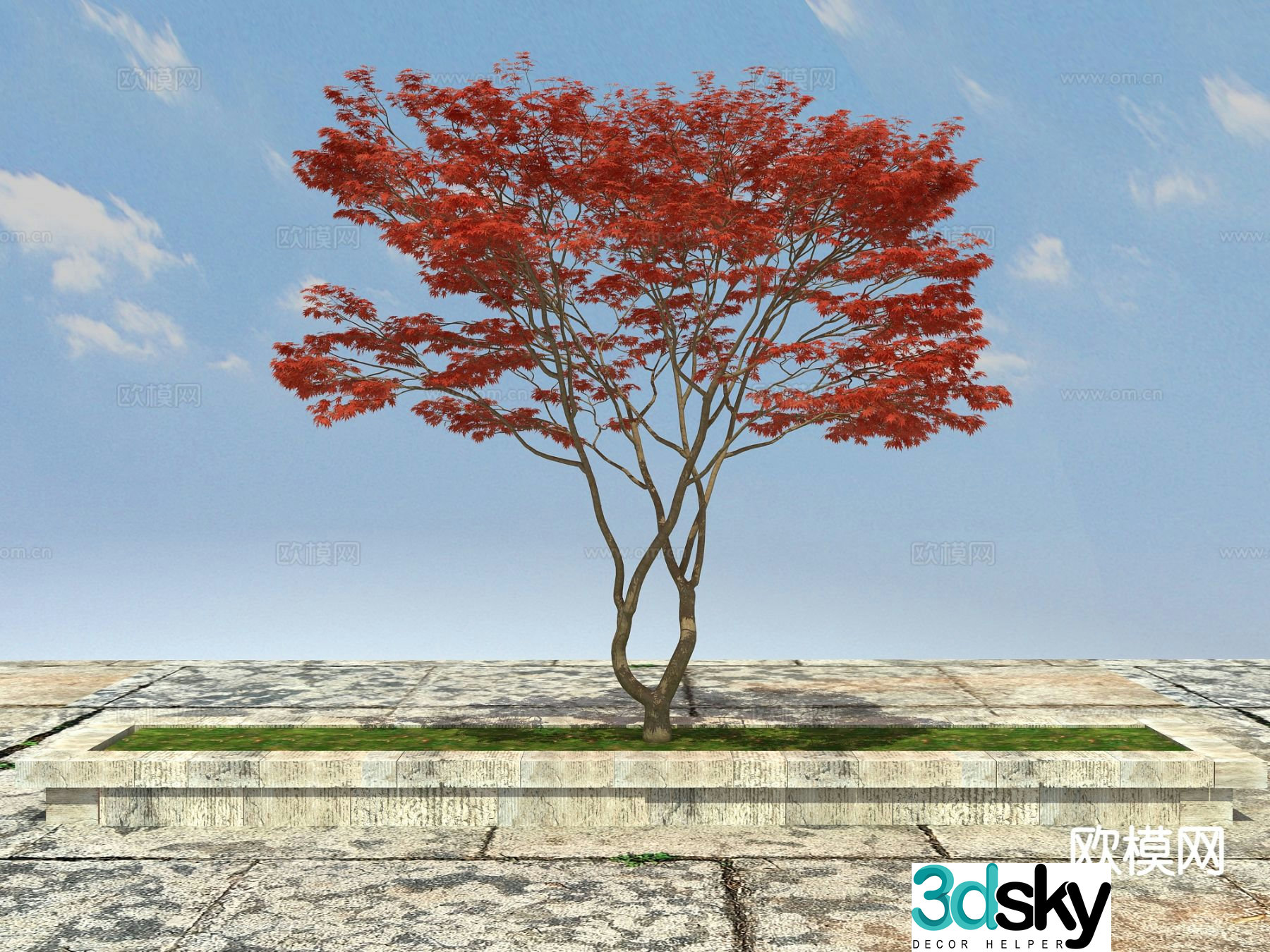 Ornamental plant red maple tree pond big tree 3d model