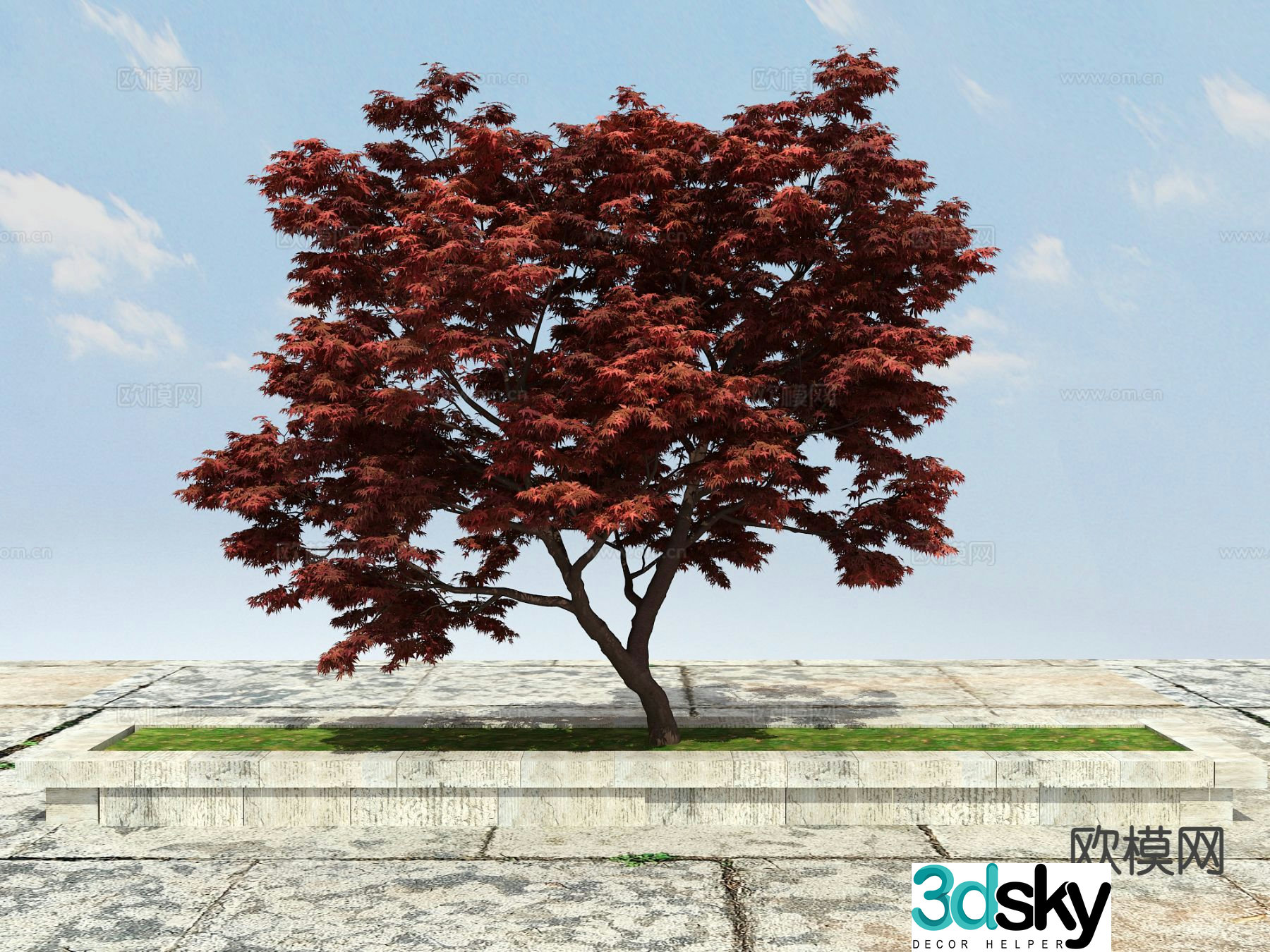 Ornamental plant red maple tree pond big tree 3d model