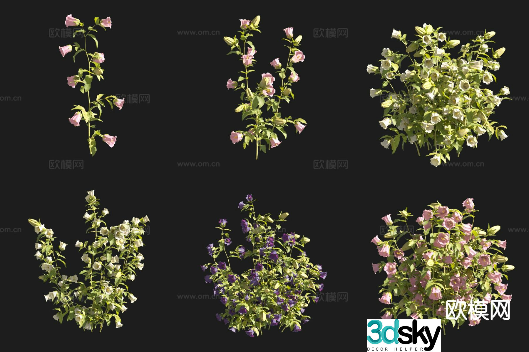 flowers plants bellflower 3d model