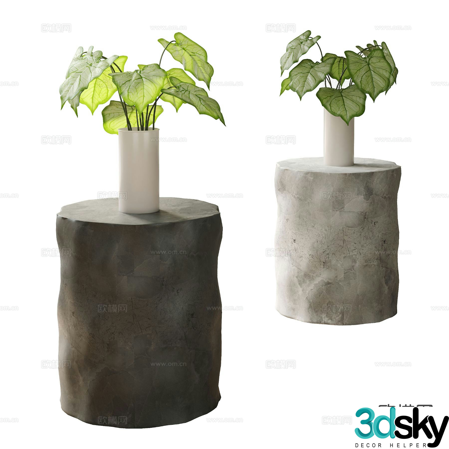 Modern hydroponic green plants Aquatic plants 3D model