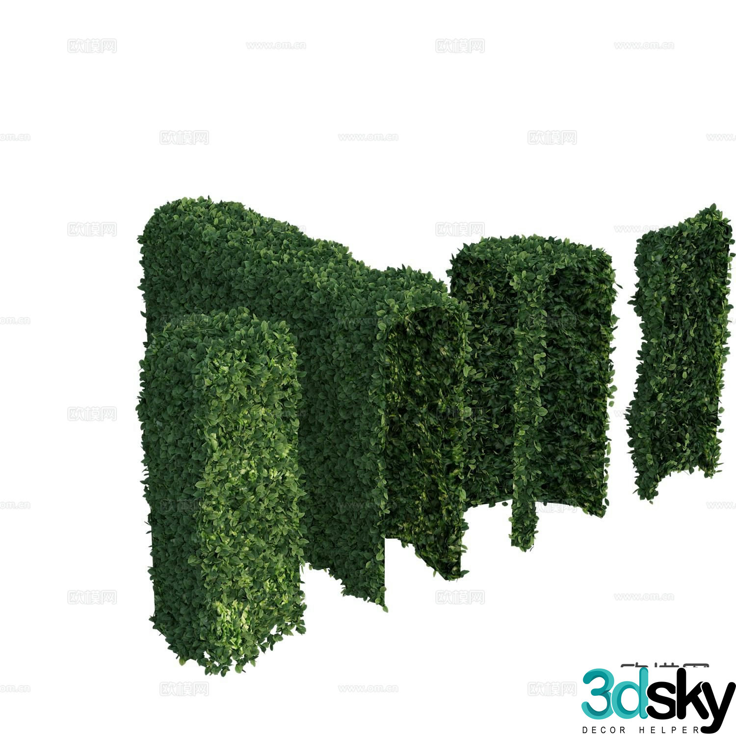 Plant wall shrub hedge 3d model