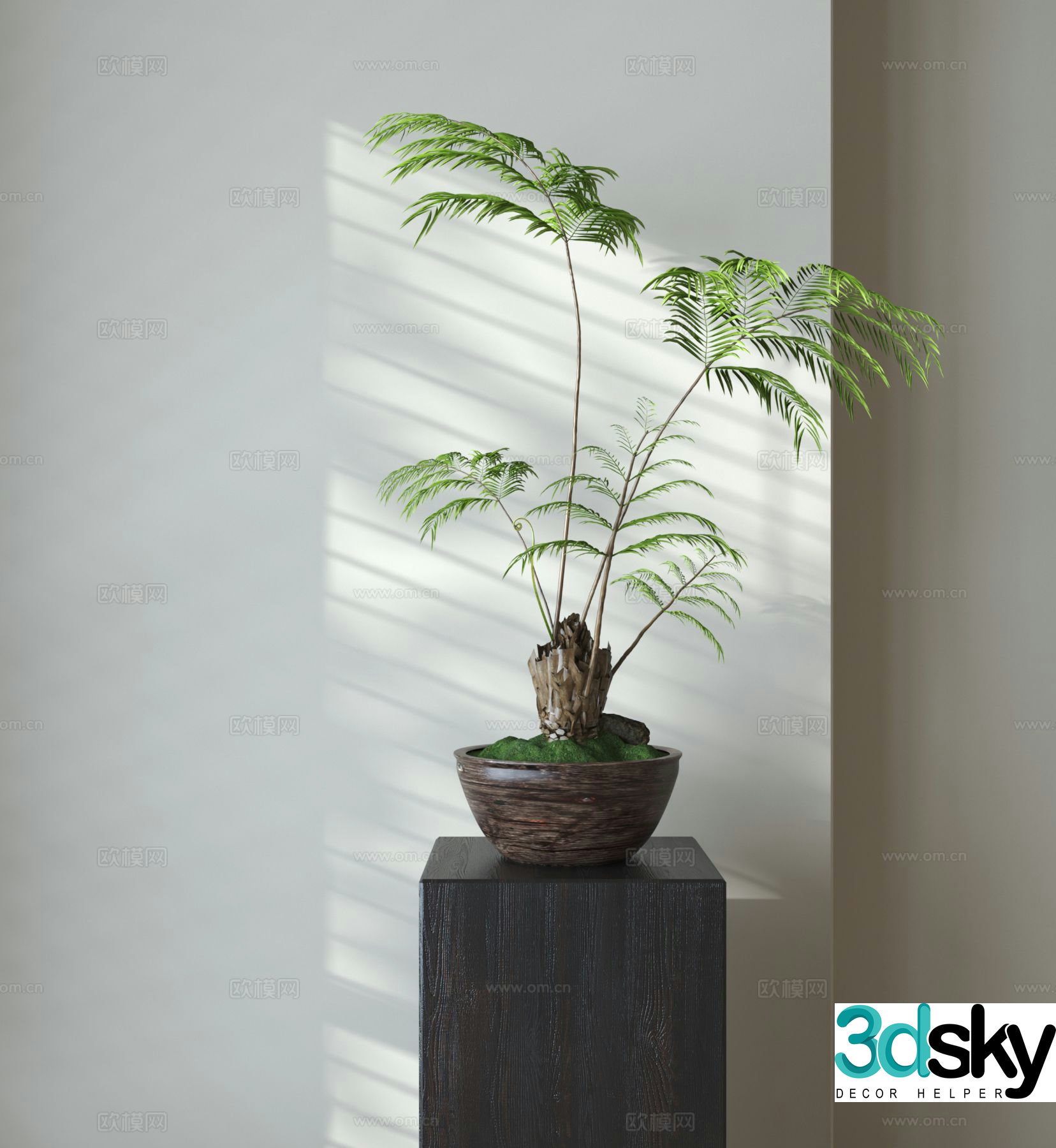 Fern potted plant plant potted plant 3d model