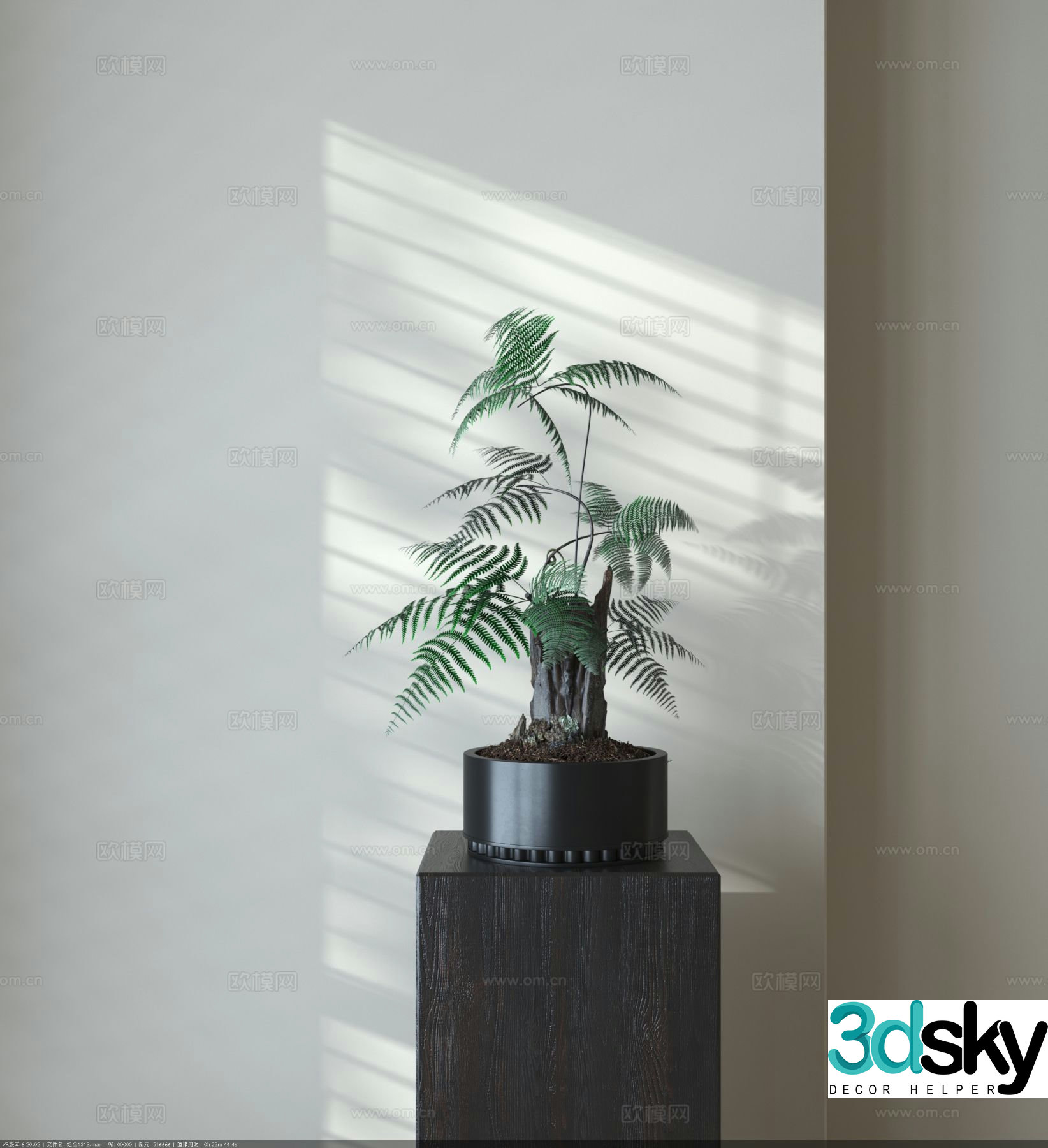 Fern potted plant plant potted plant 3d model