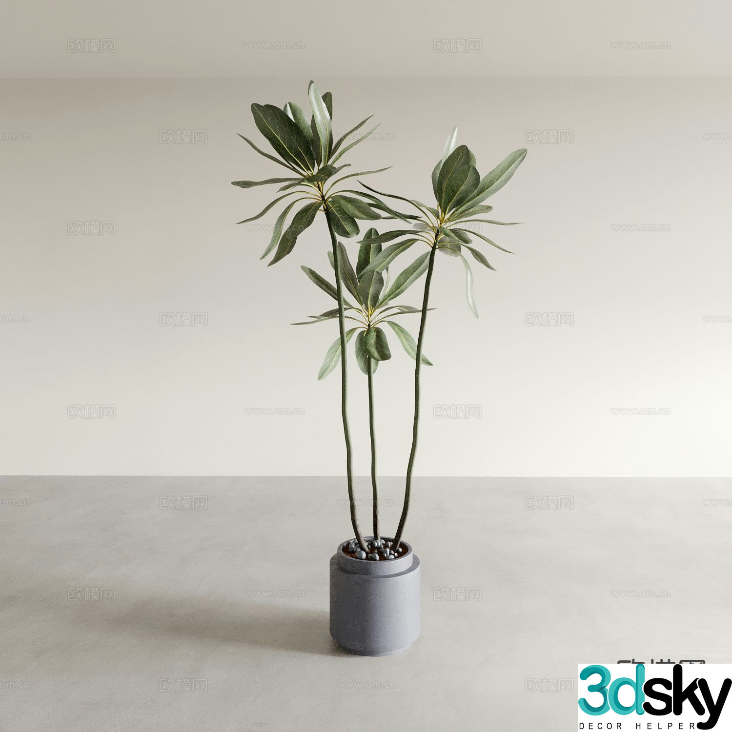 Plant potted green plant 3d model