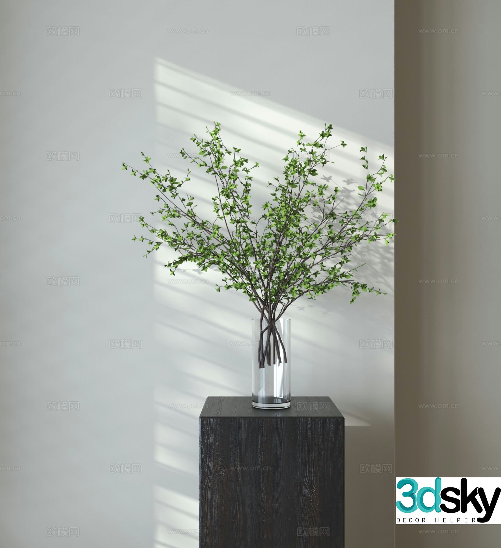 Aquatic plants green plants 3d model