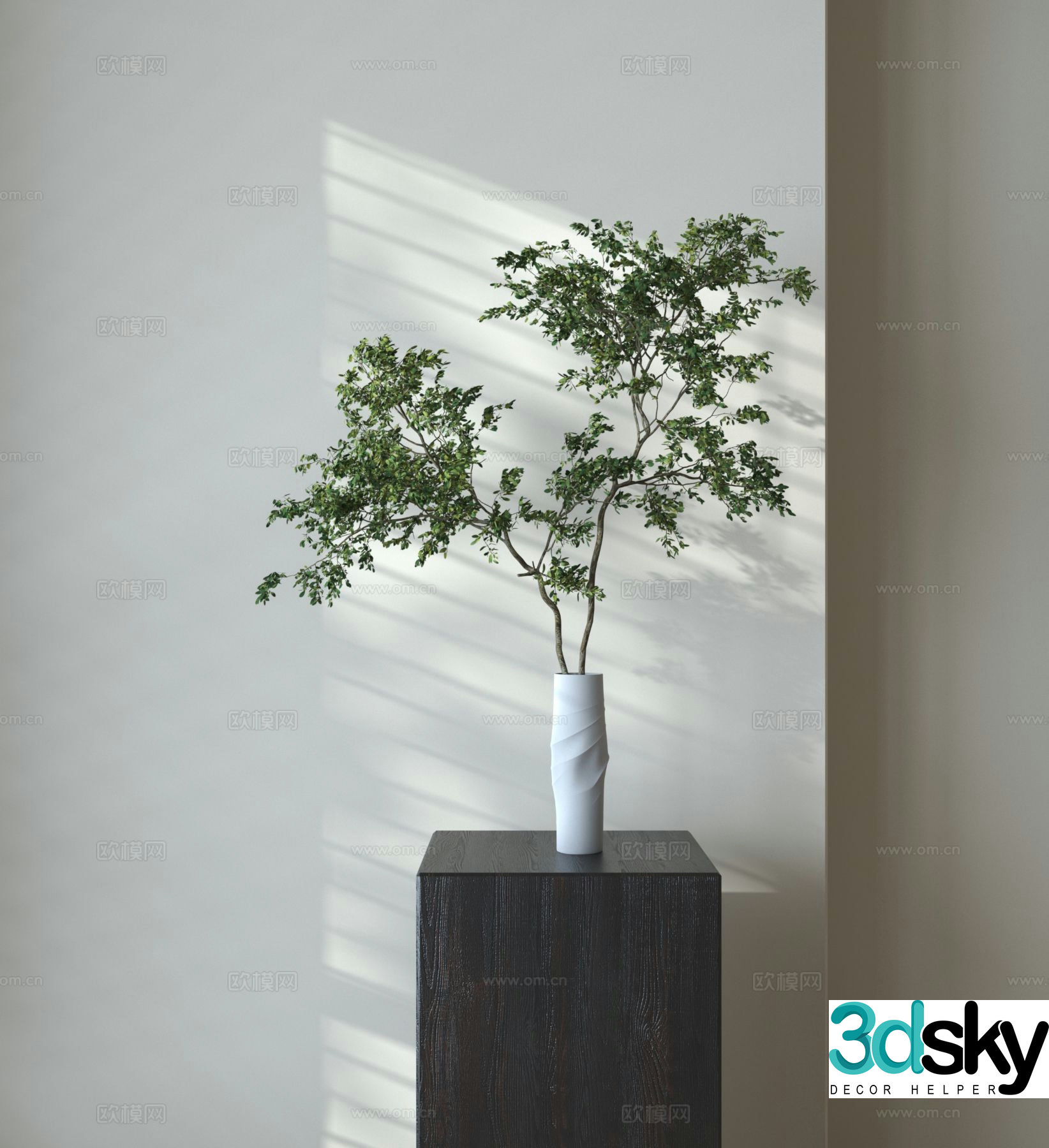 Aquatic plants green plants 3d model