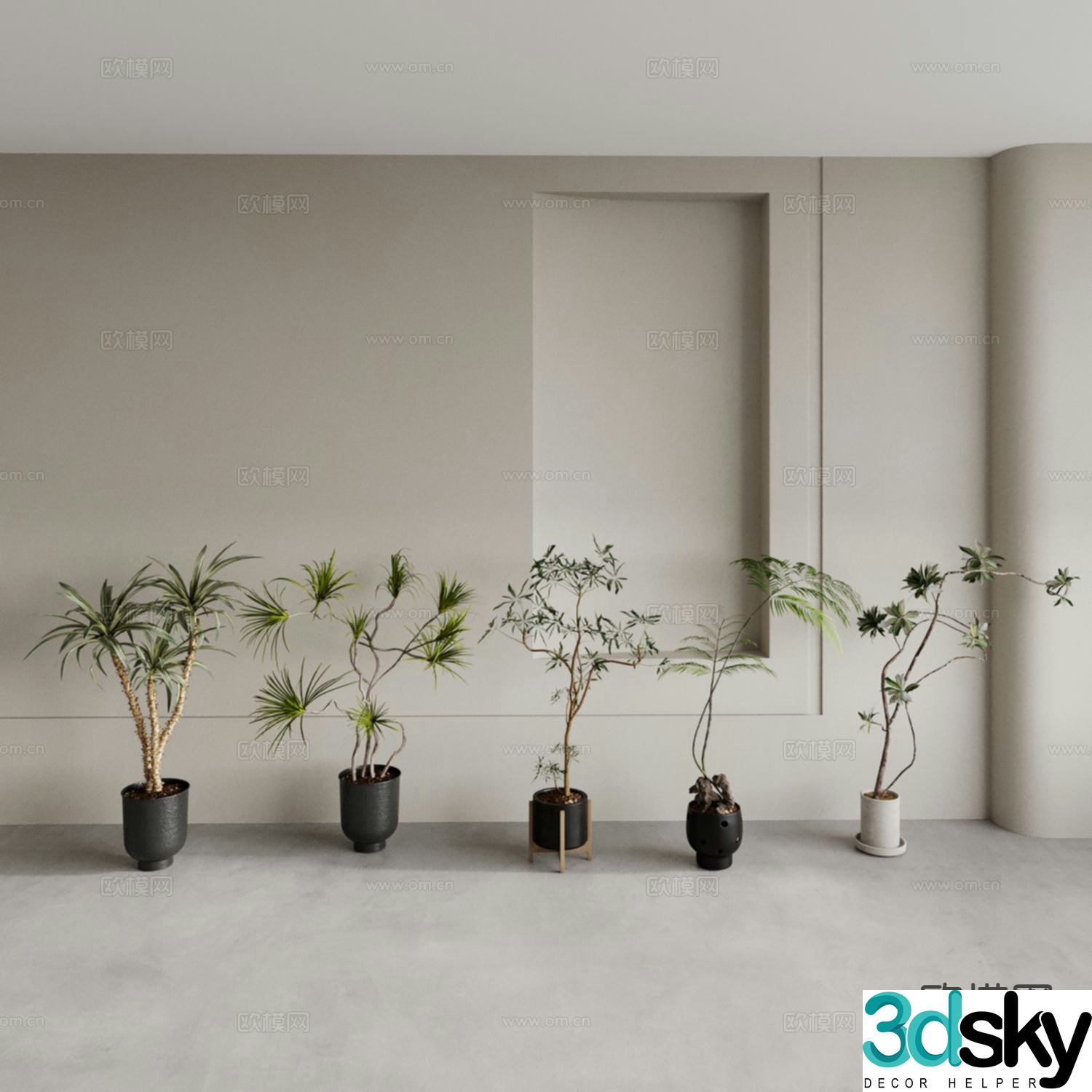 Large leaf potted plant Small leaf potted plant 3D model