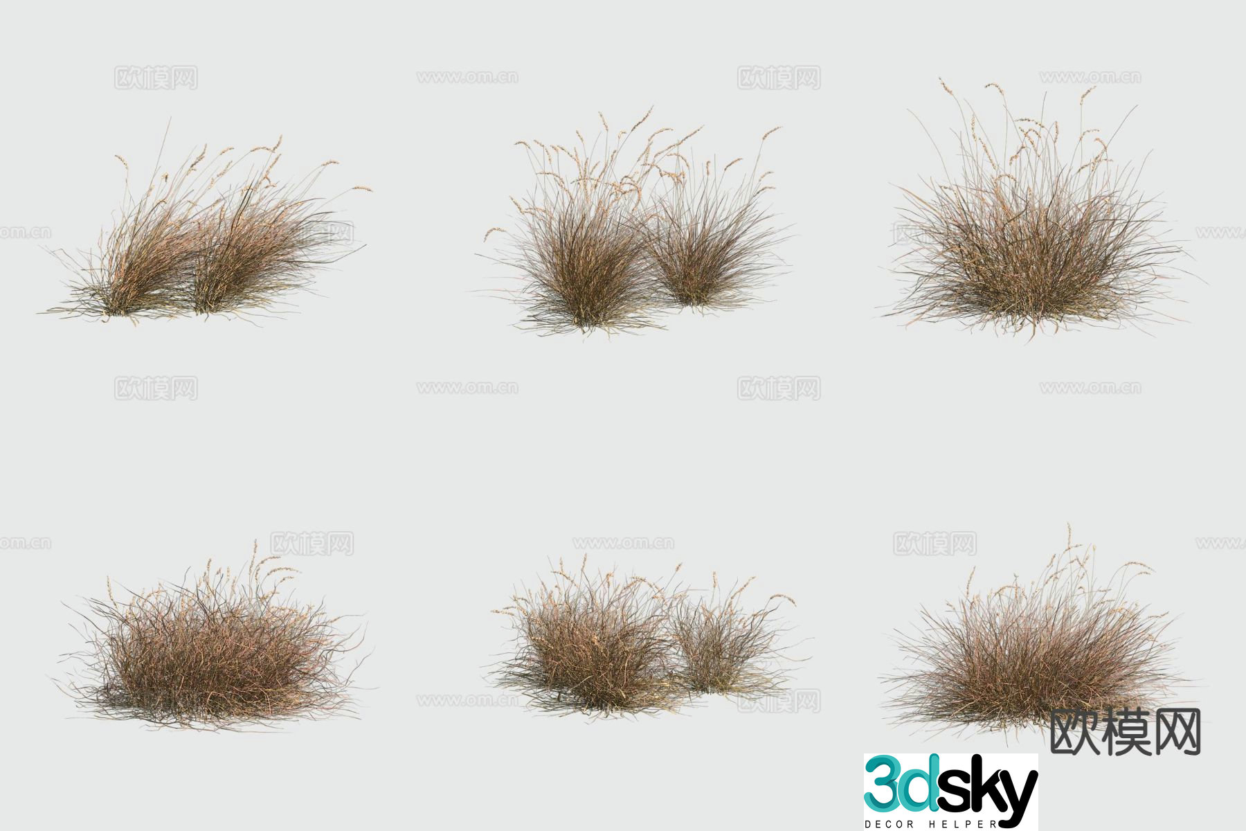 Snake Spear Plant 3D Model