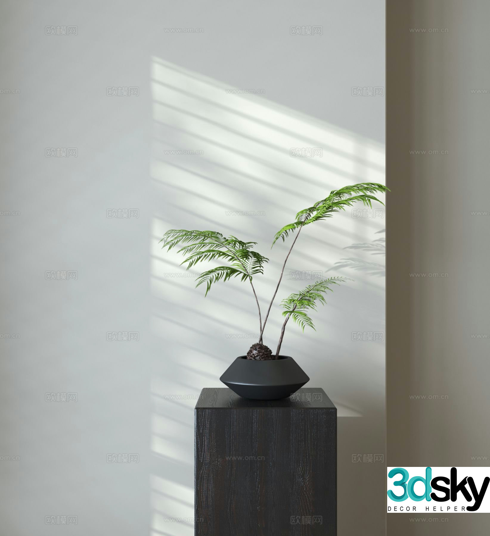 3D model of fern potted plants
