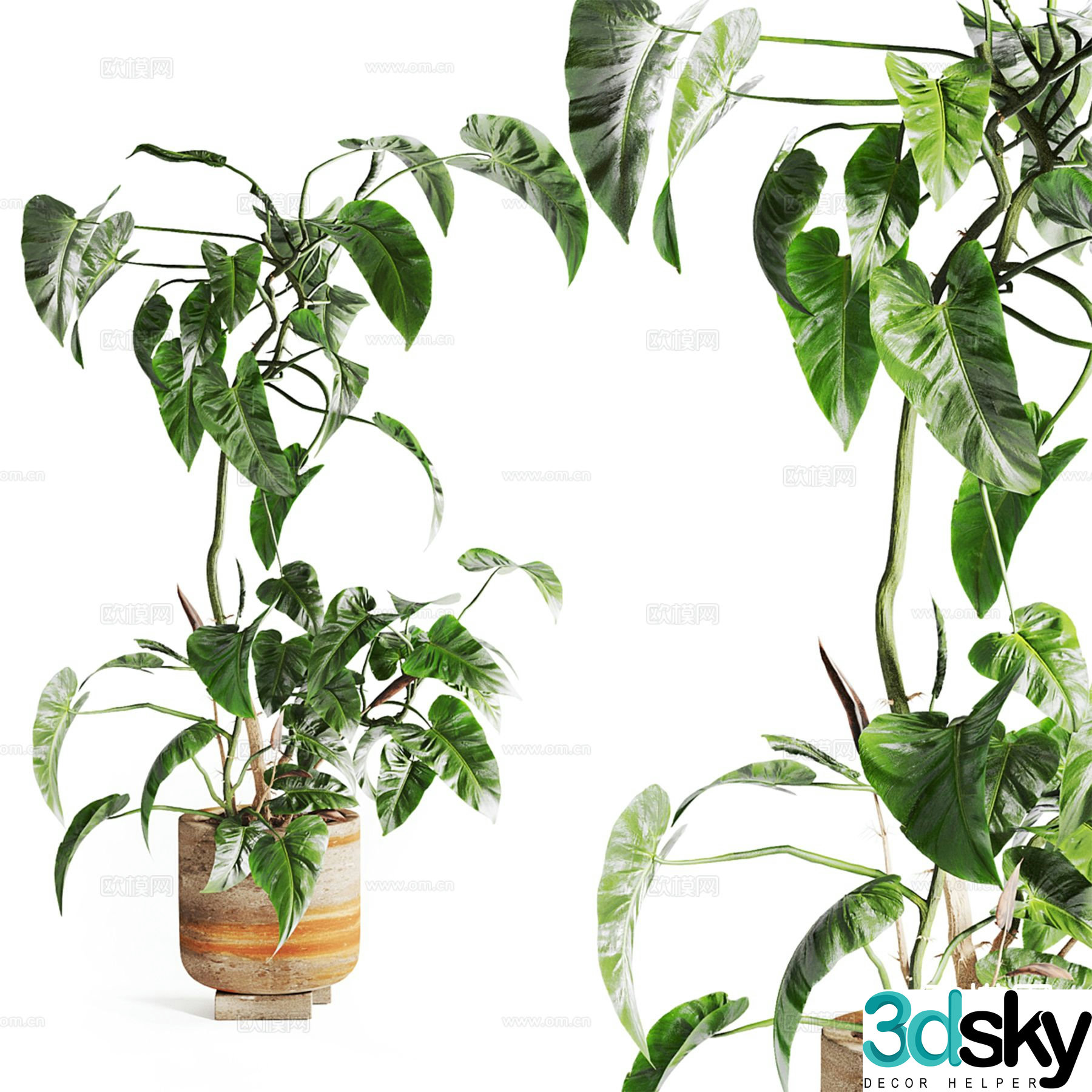 Modern plant potted bonsai 3d model