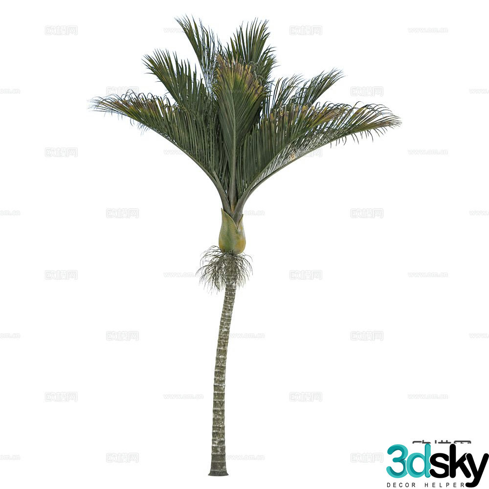 Landscape tree tropical green plants coconut tree 3d model