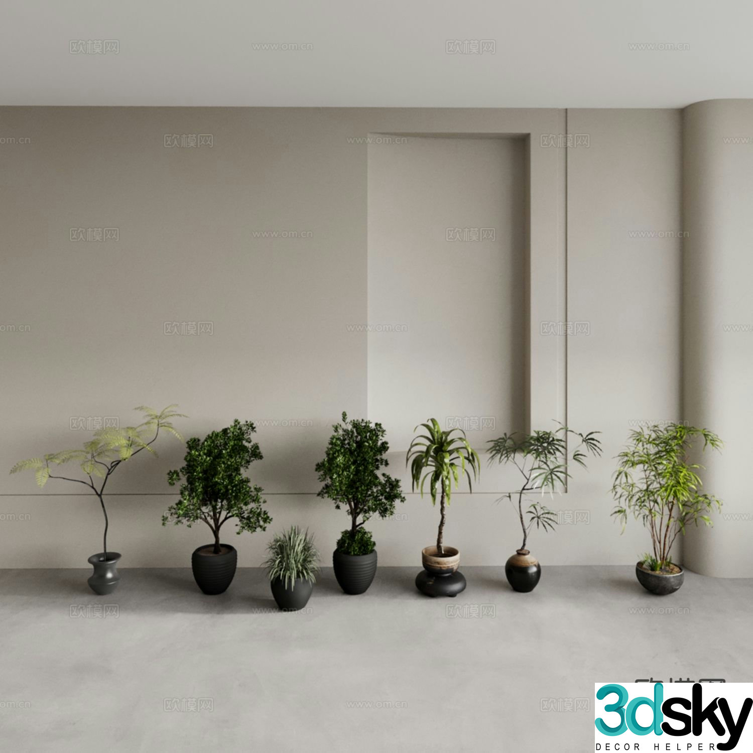 Big potted plants money tree tall potted plants short potted plants 3D model