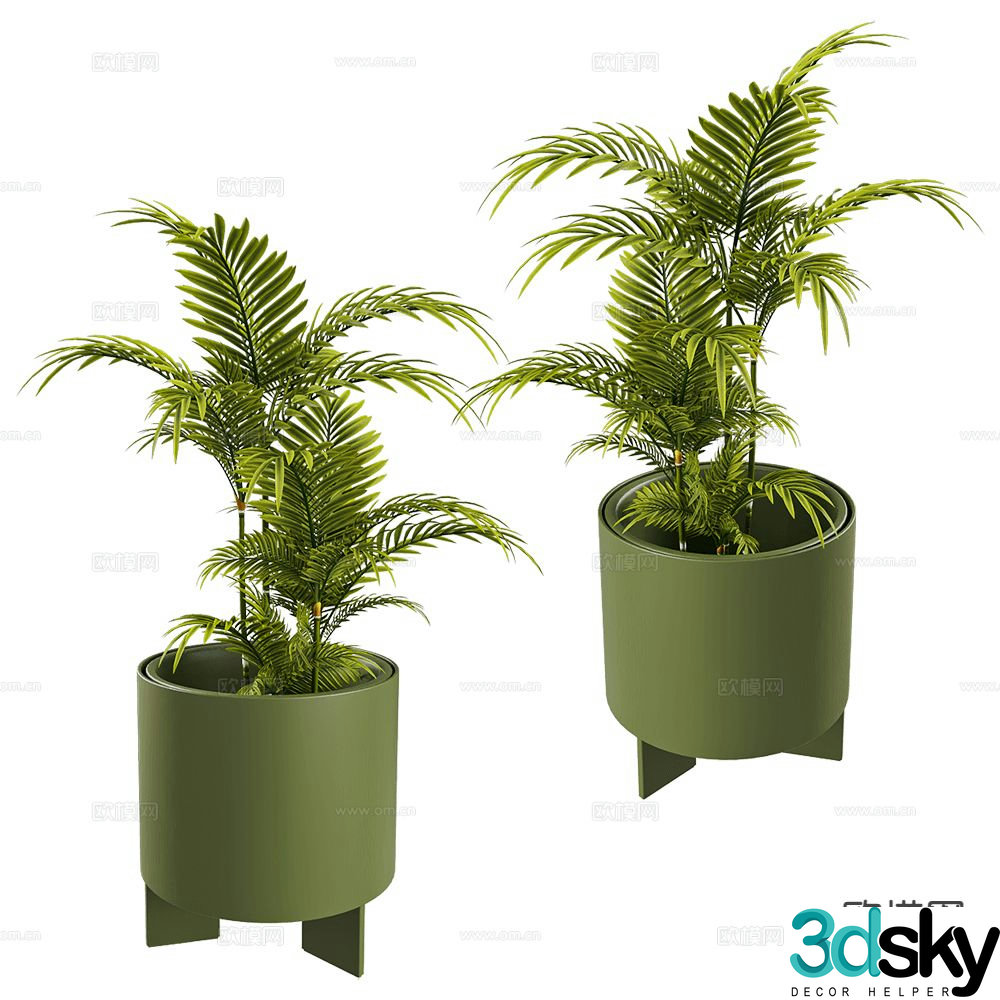 Modern potted plants bonsai green plants 3d model