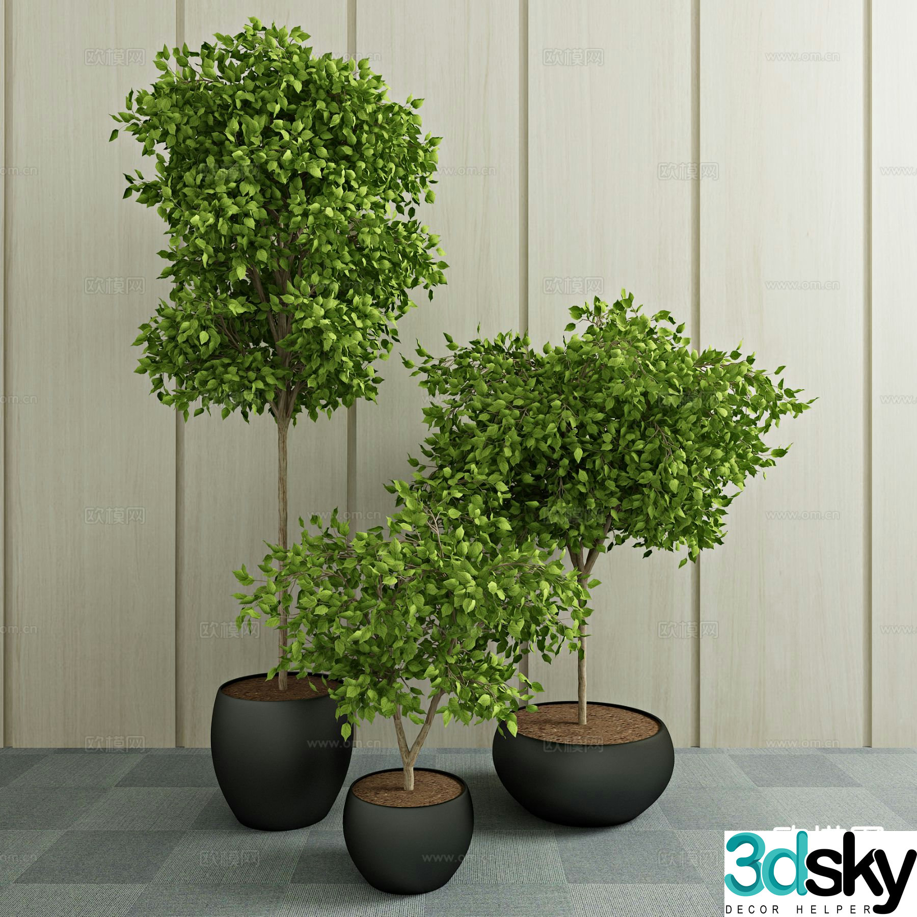 Green plant potted plant 3d model