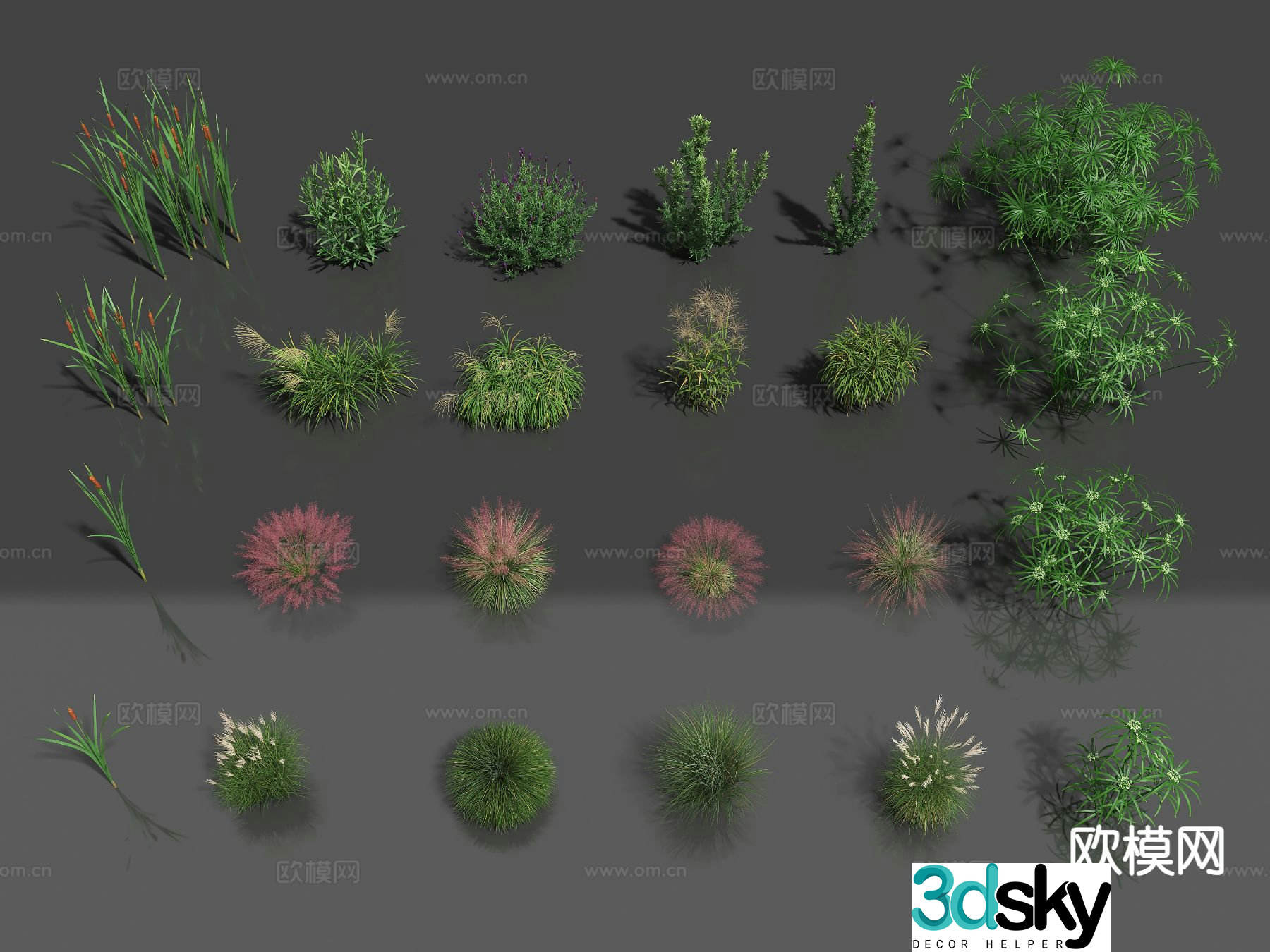 Plants flowers wildflowers wild grass 3d model