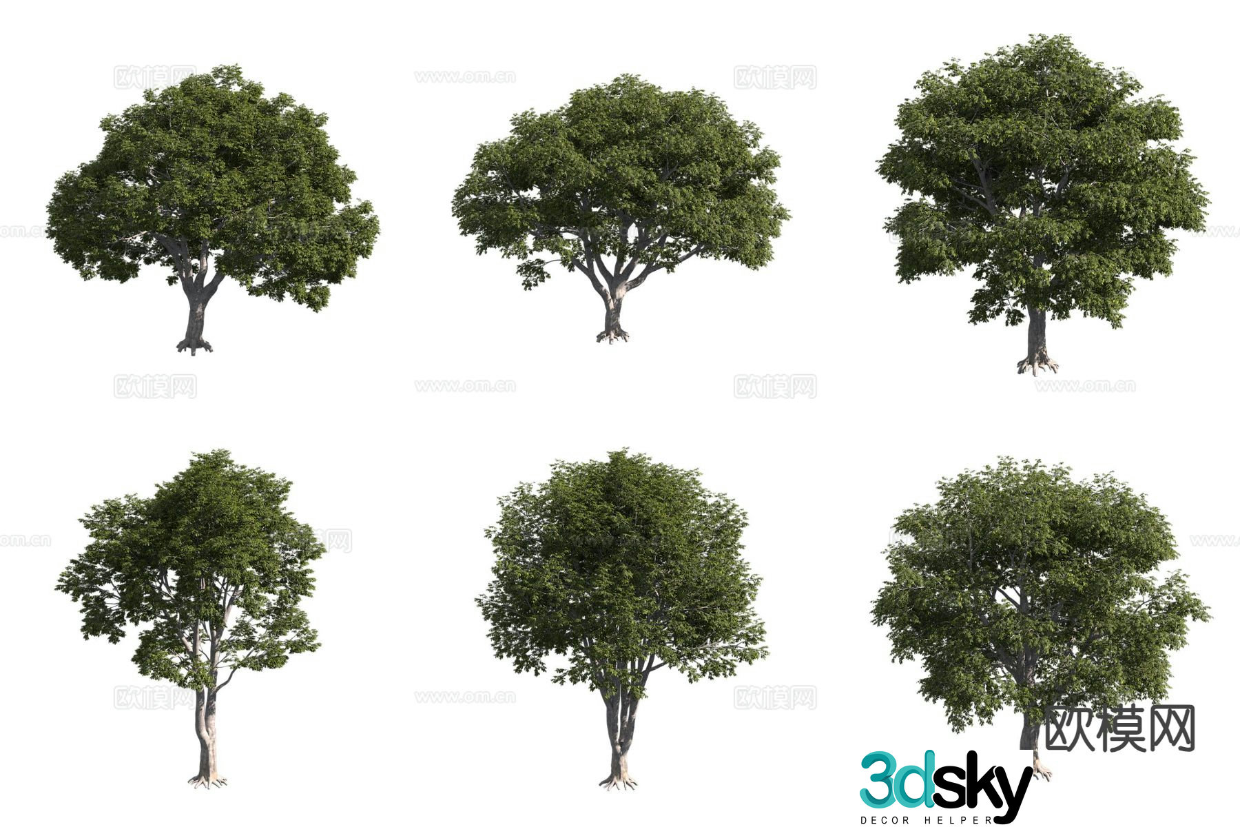 Southern European Hackberry Landscape Tree Big Tree 3D Model