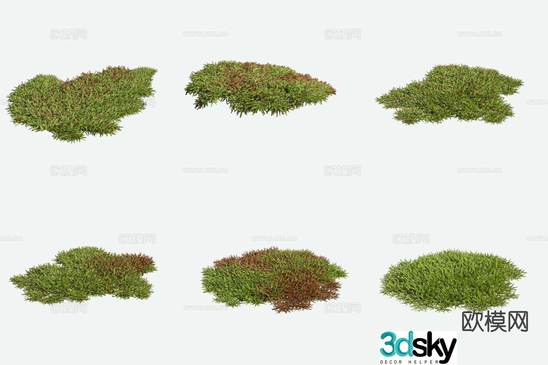 Mingleaf moss grass aquatic plants 3D model