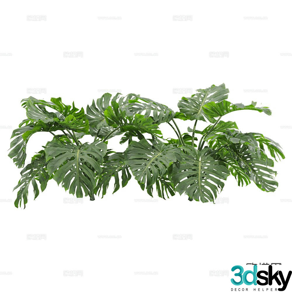 Modern monstera flowers and plants 3d model