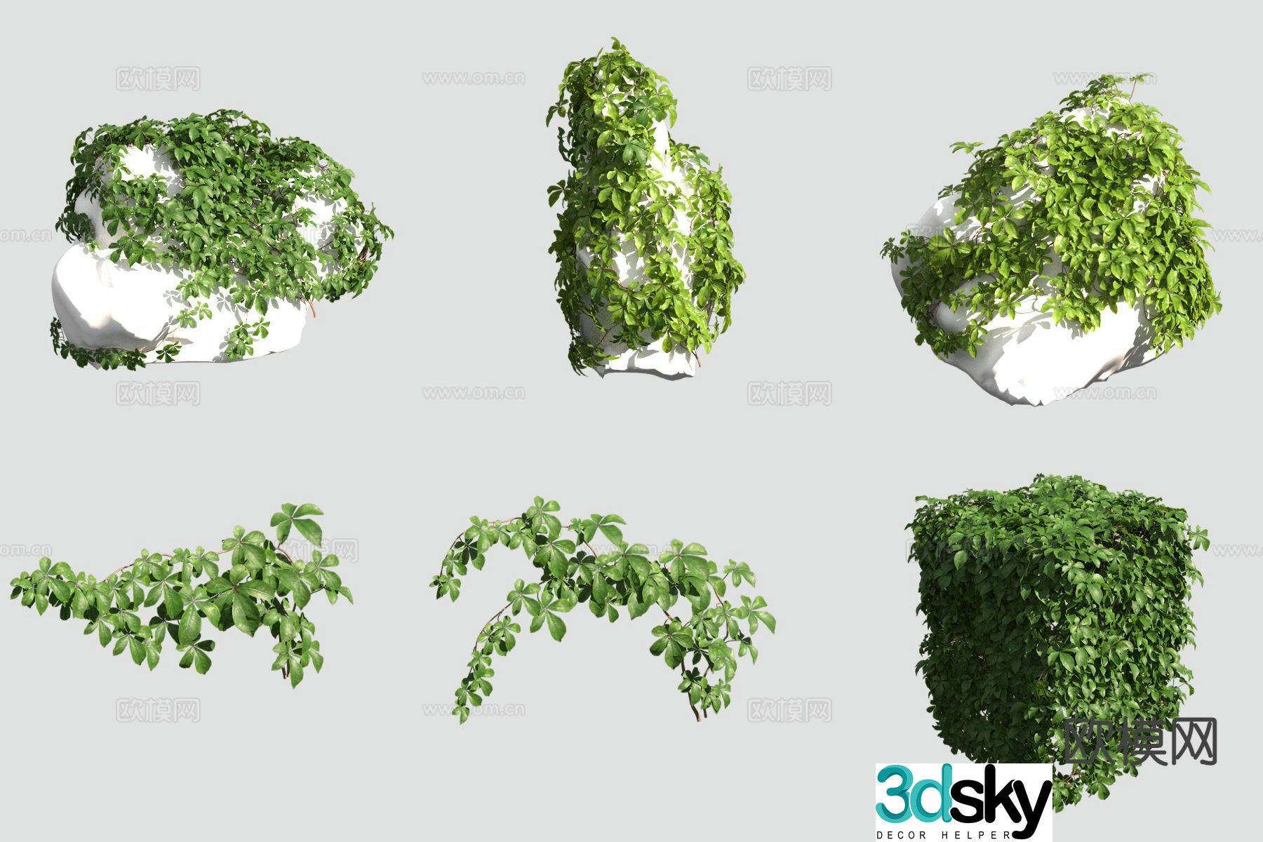 Taiwan cliff climbing vine vine 3d model