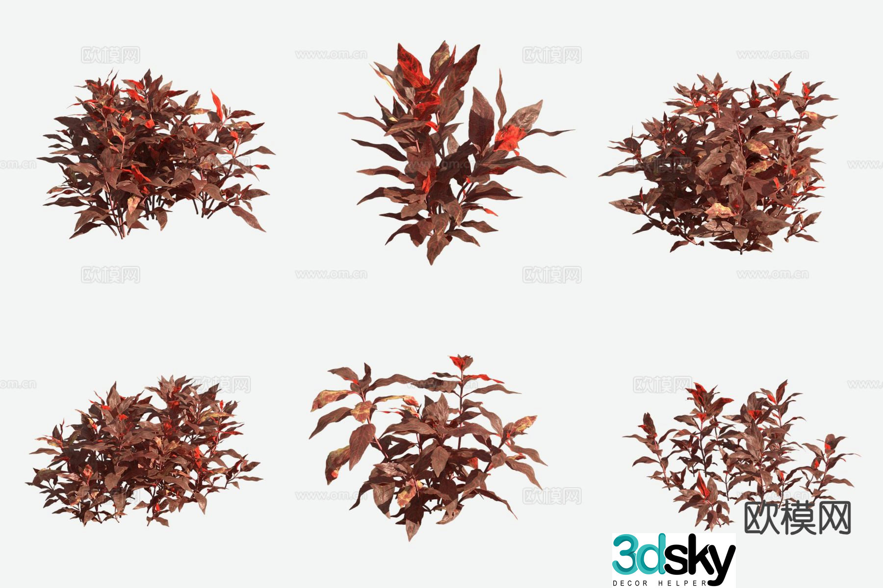 Ruishi Lotus Seed Grass Blood Heart Orchid Aquatic Plant 3D Model