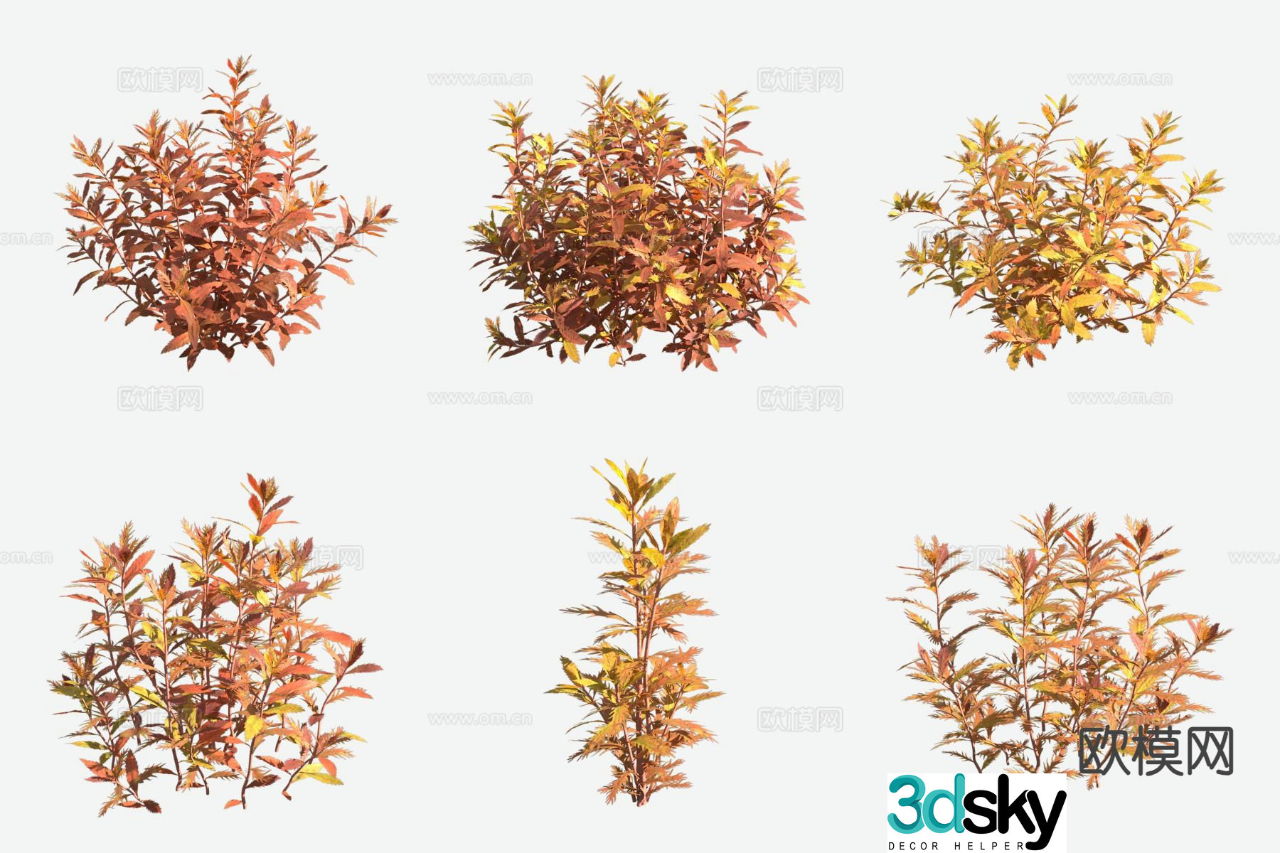 Red Umbrella Grass Aquatic Plants 3D Model