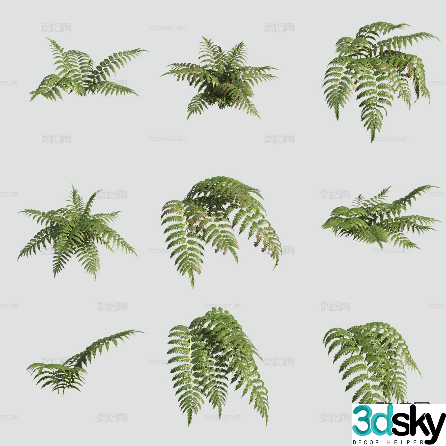 Golden Dog Feather Golden Retriever Dog Ridge Flowers and Plants 3D Model