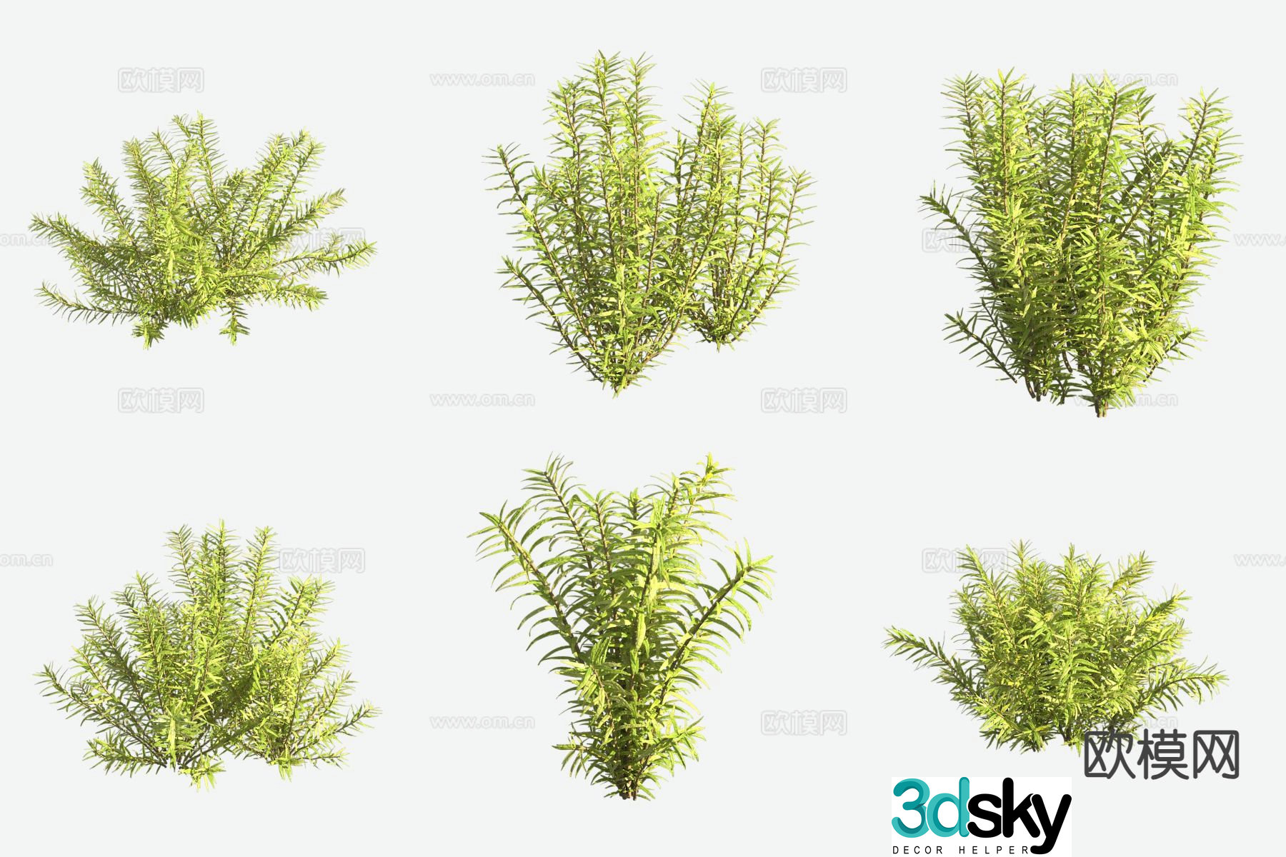 Round leaves and leaves aquatic plants aquatic plants 3D model