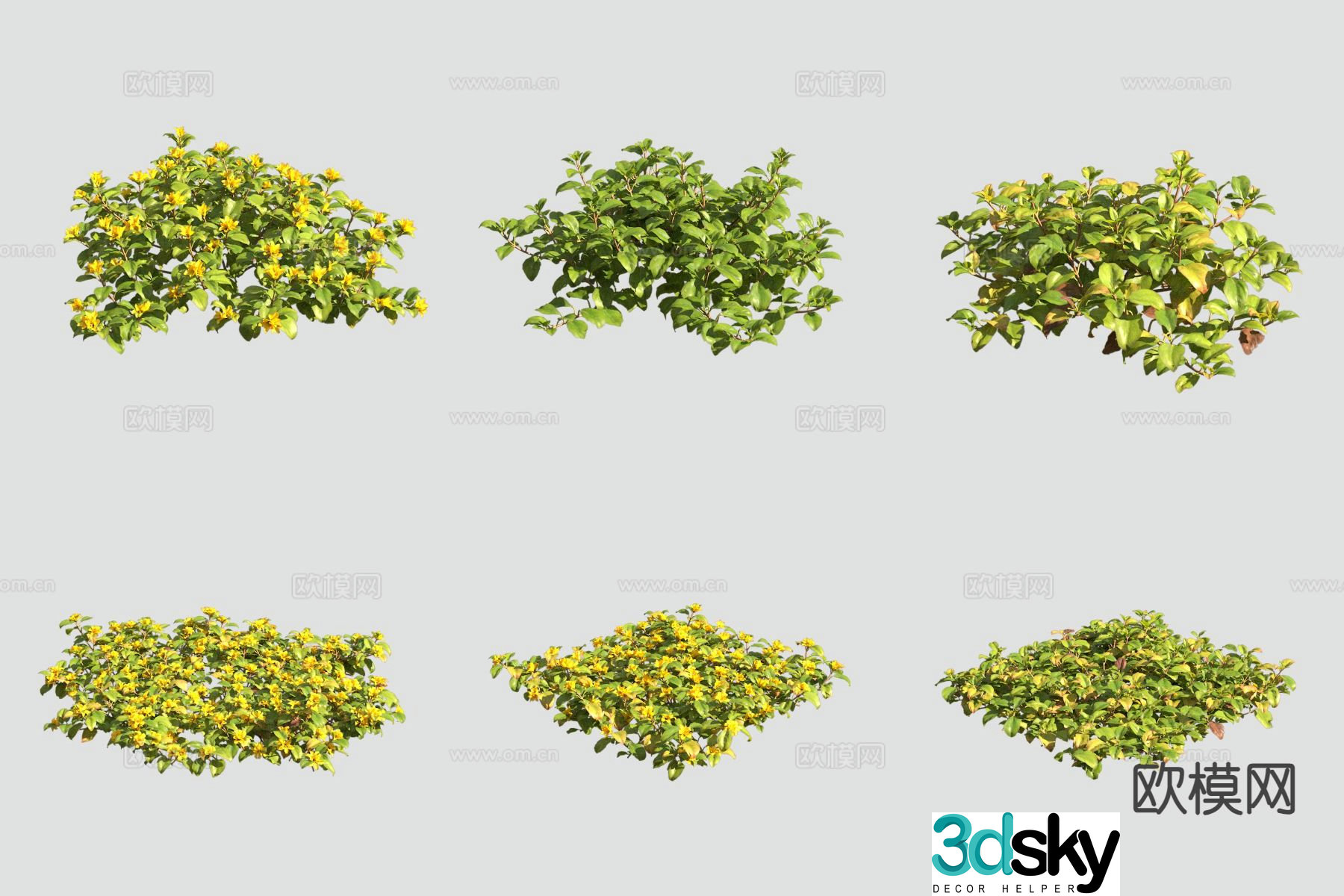 Roadside green plants yellow flowers and plants 3D model