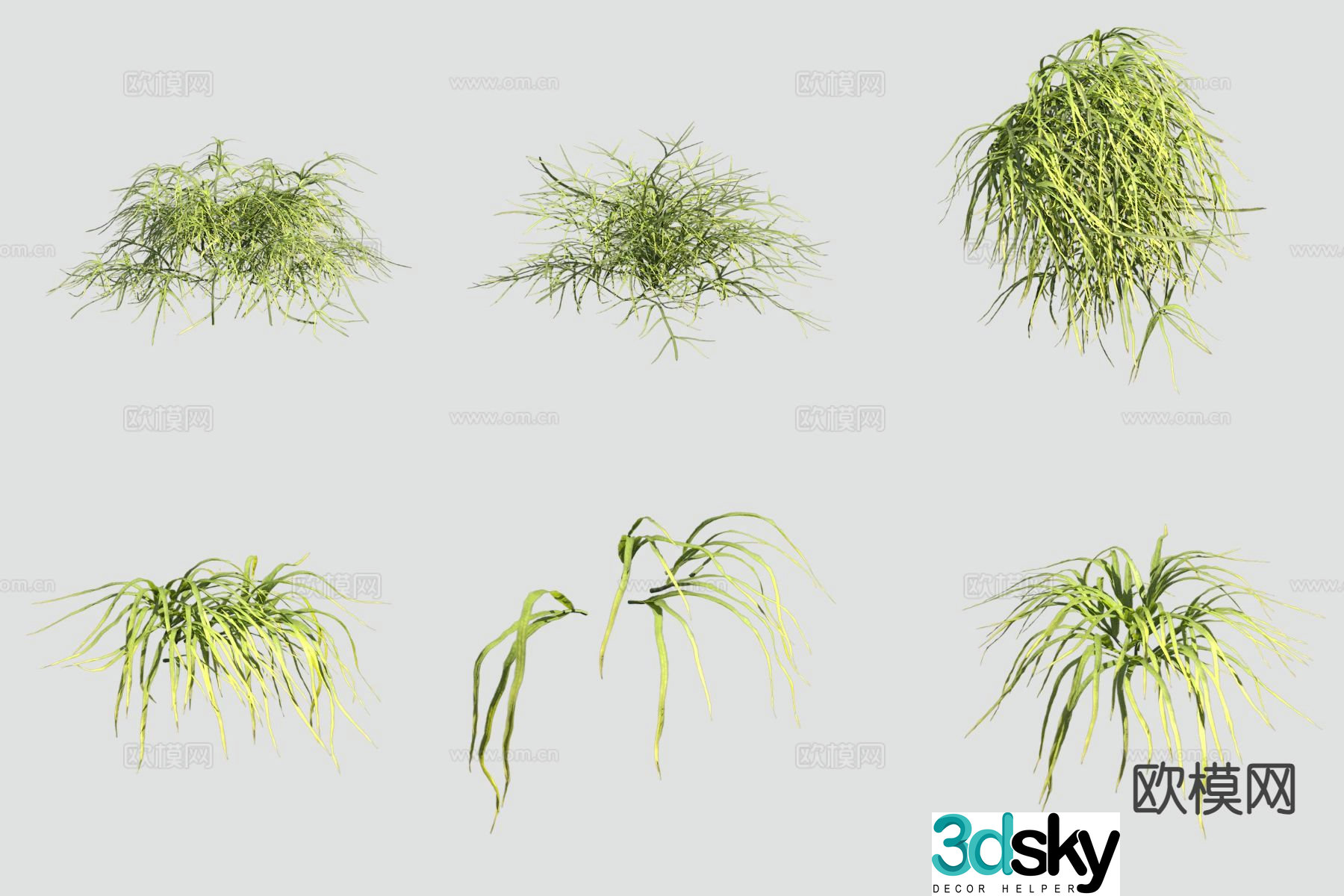 Flowers and plants 3D model