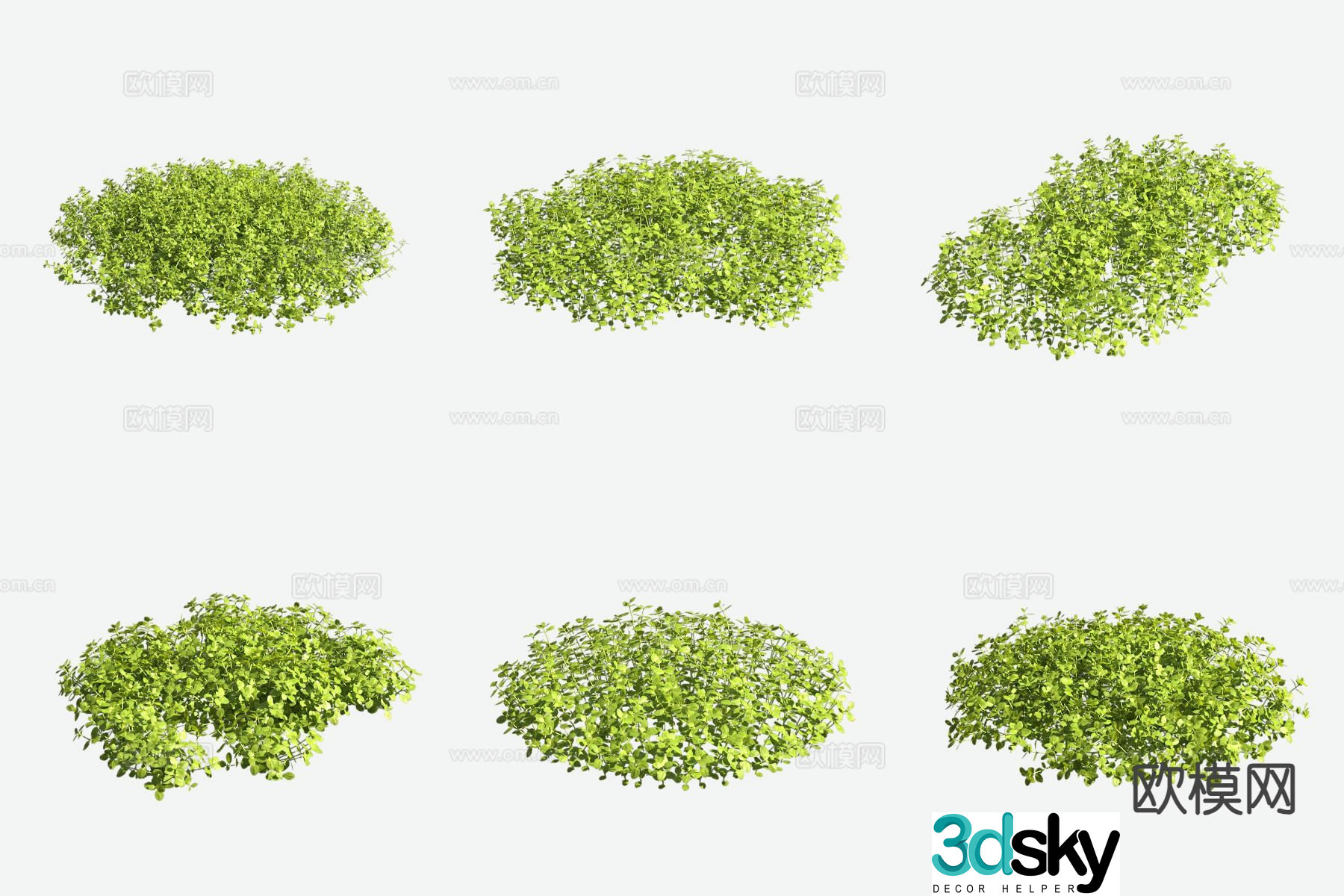 Microflower and grass aquatic plants 3D model
