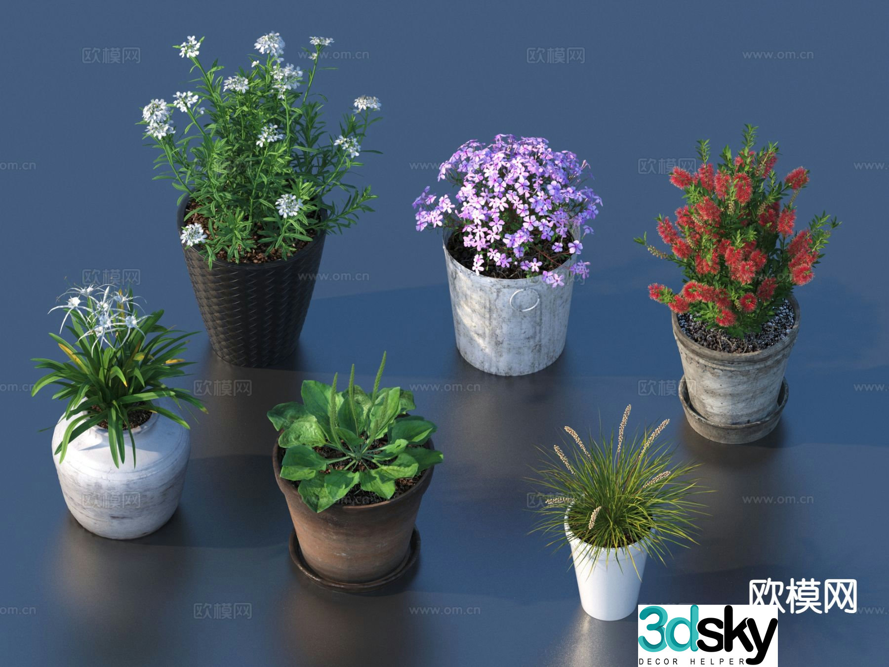 Flower pot pot green plants plant 3d model